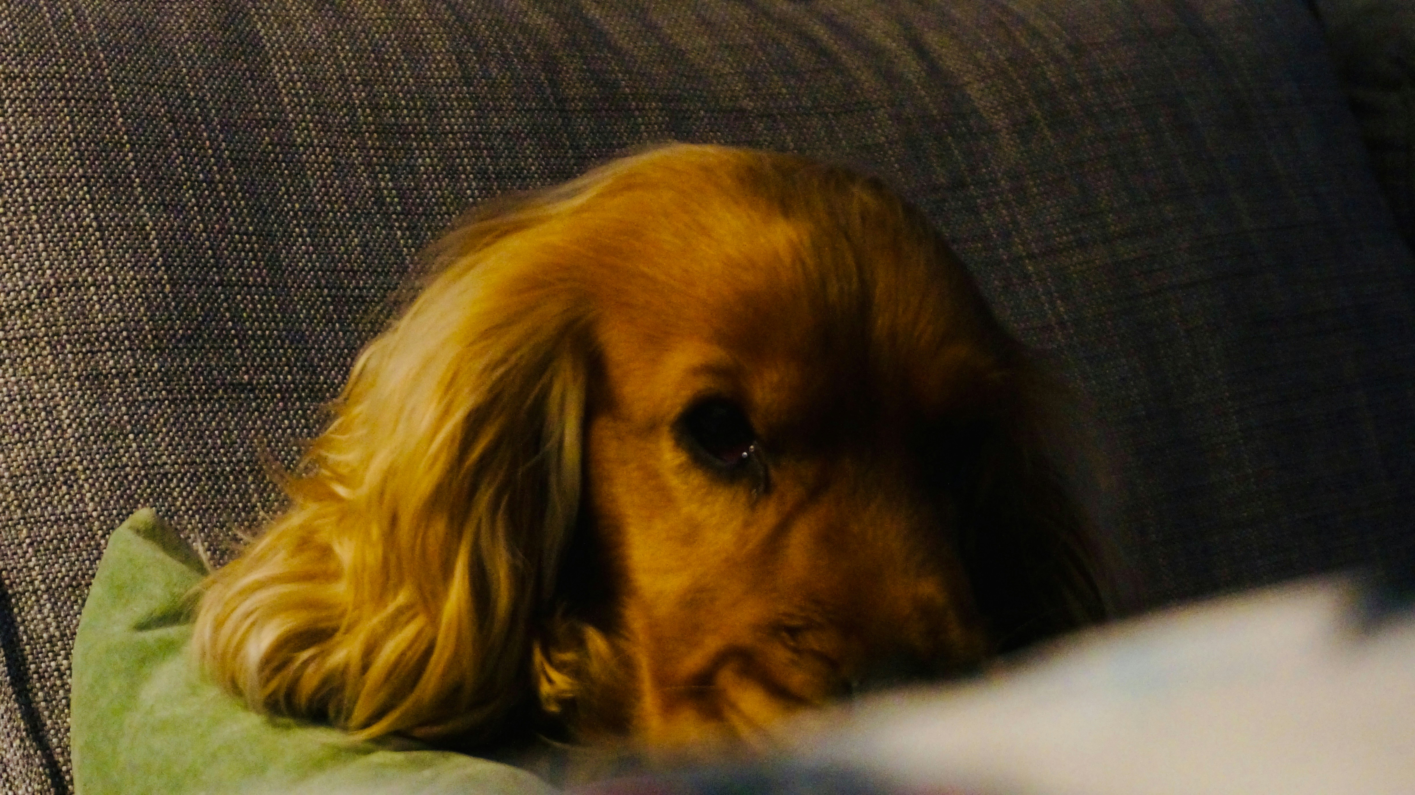 Photo by supersaver1234