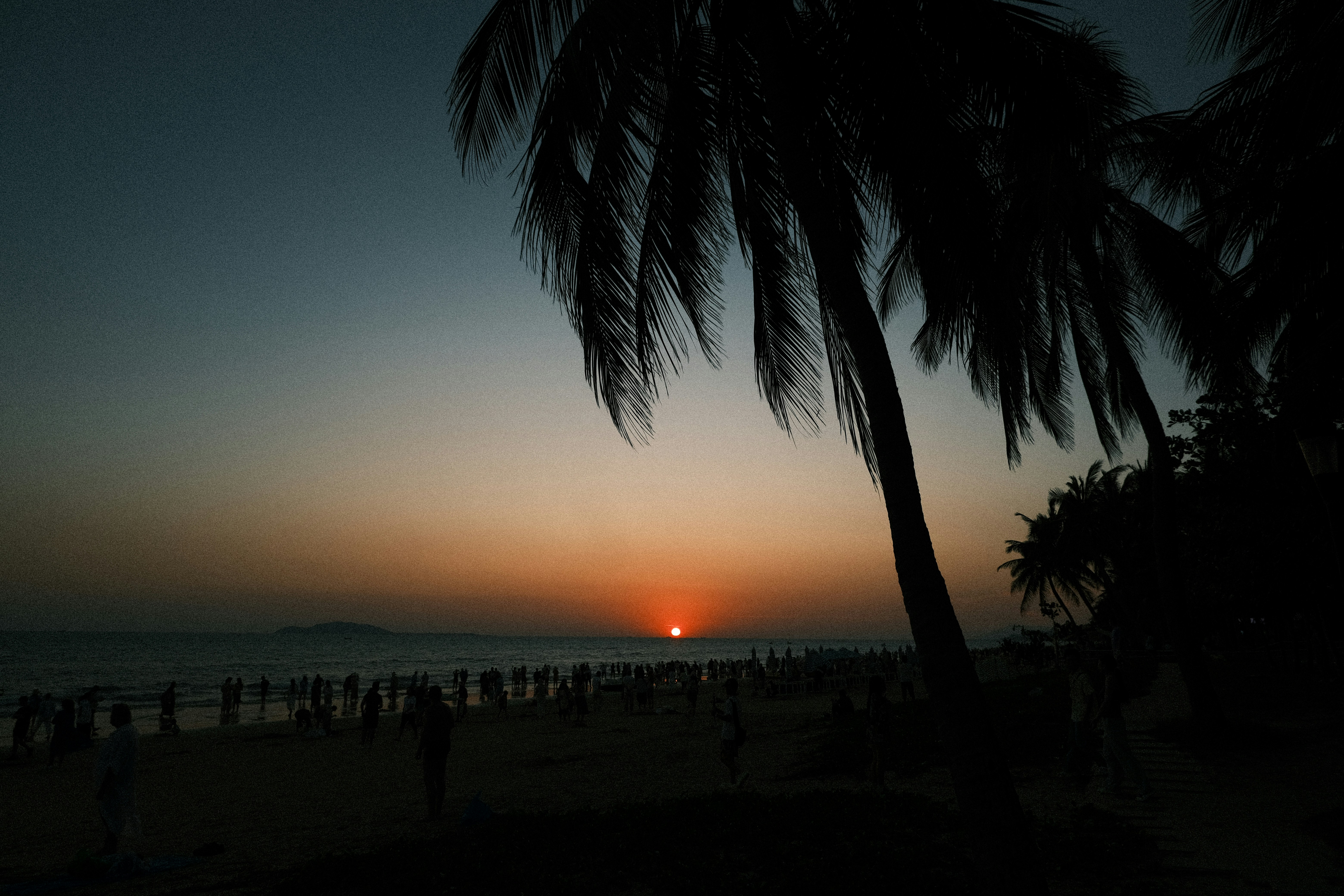 Sunset over ocean with palm trees and beachgoers