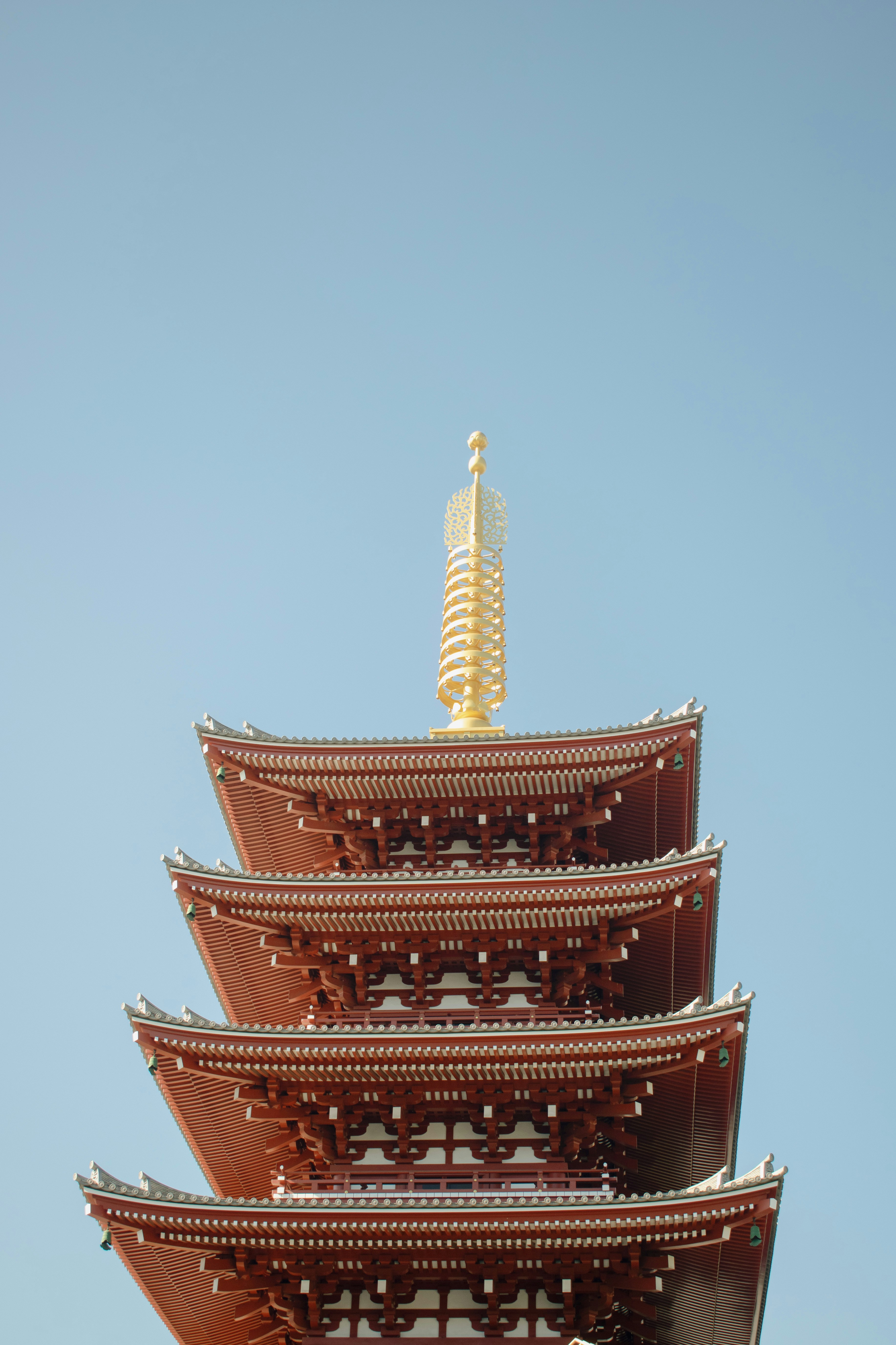 Photo by maxinehuluwa