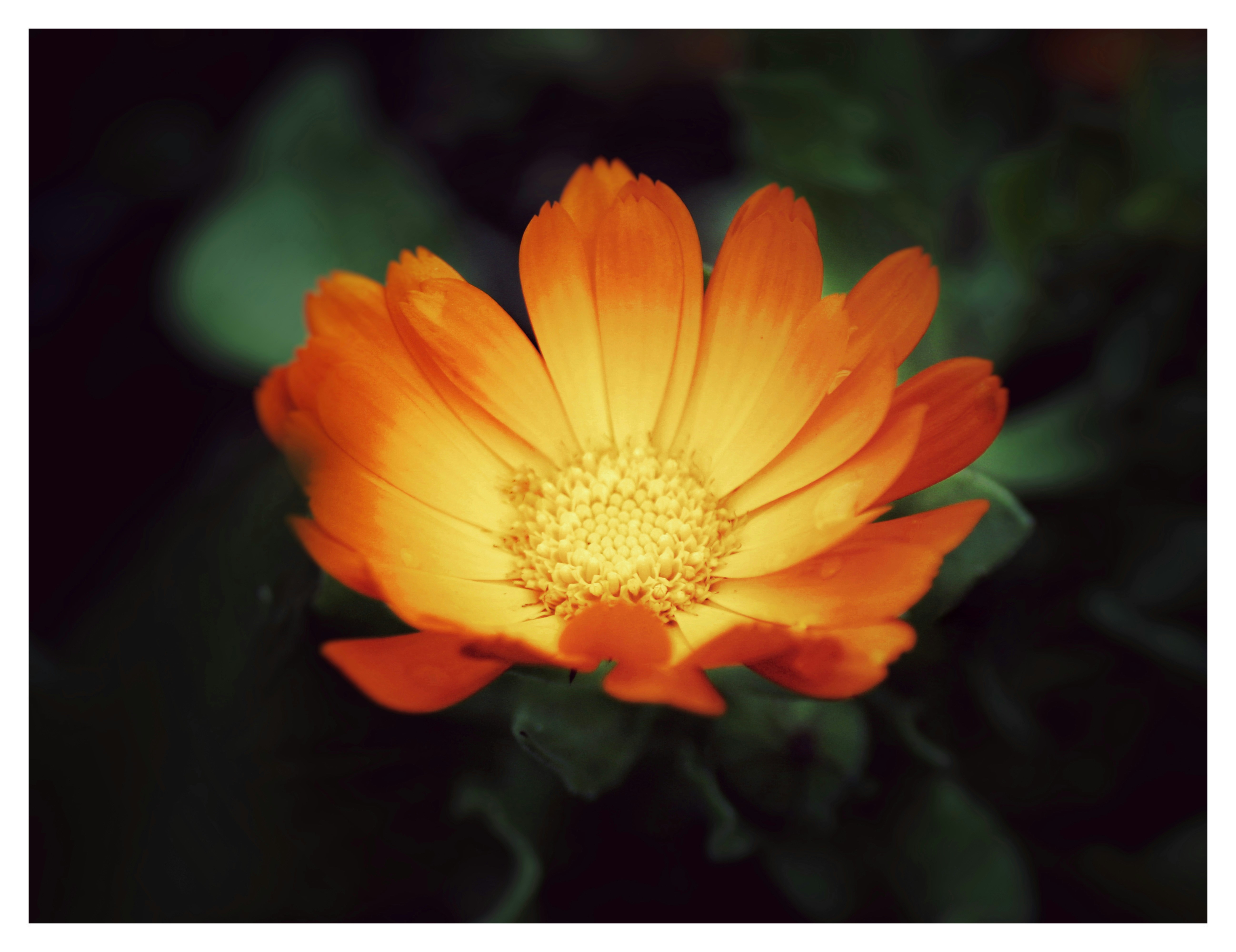 Photo by hermandmytro