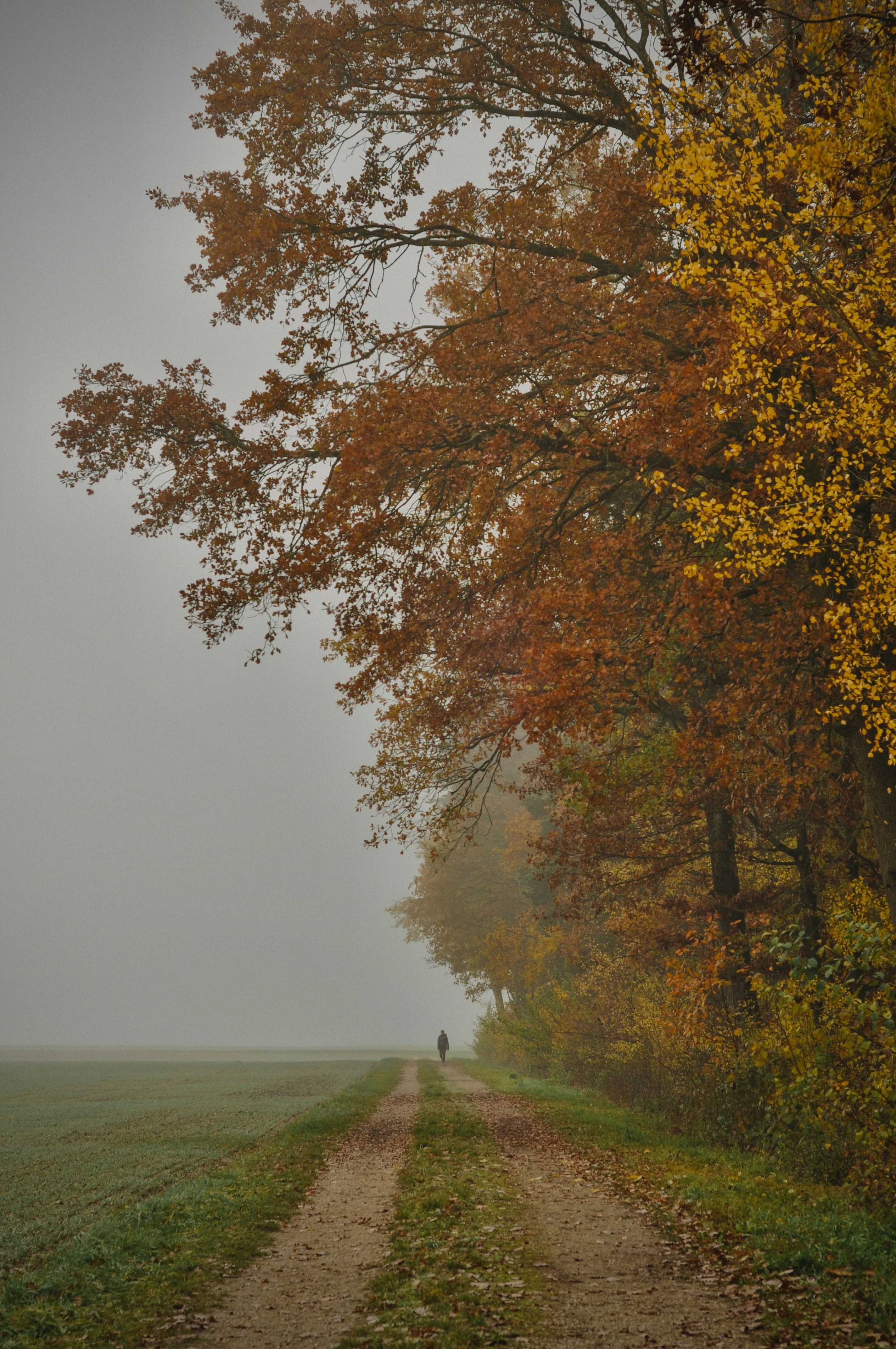 Photo by gorchinska88