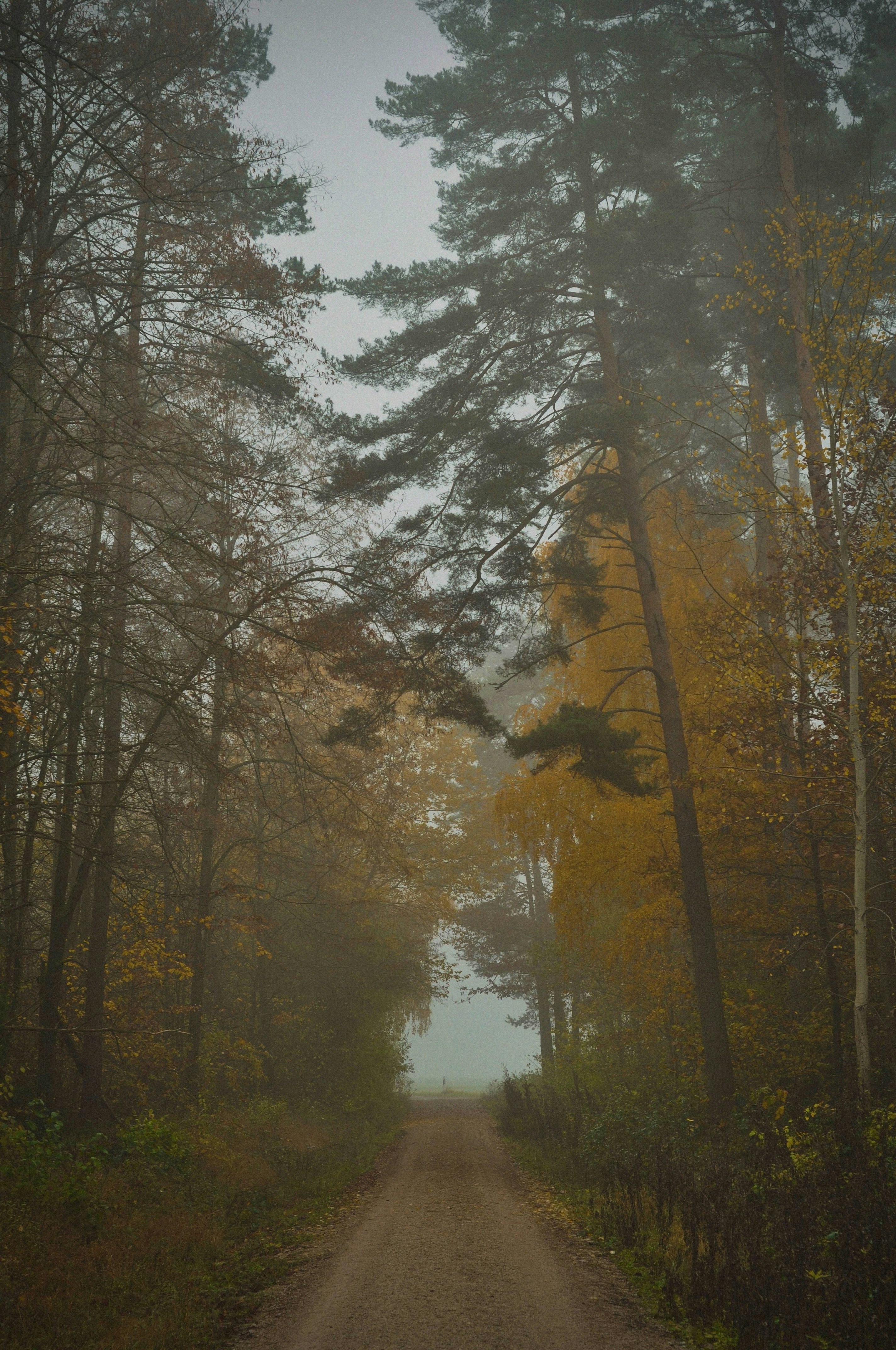 Photo by gorchinska88