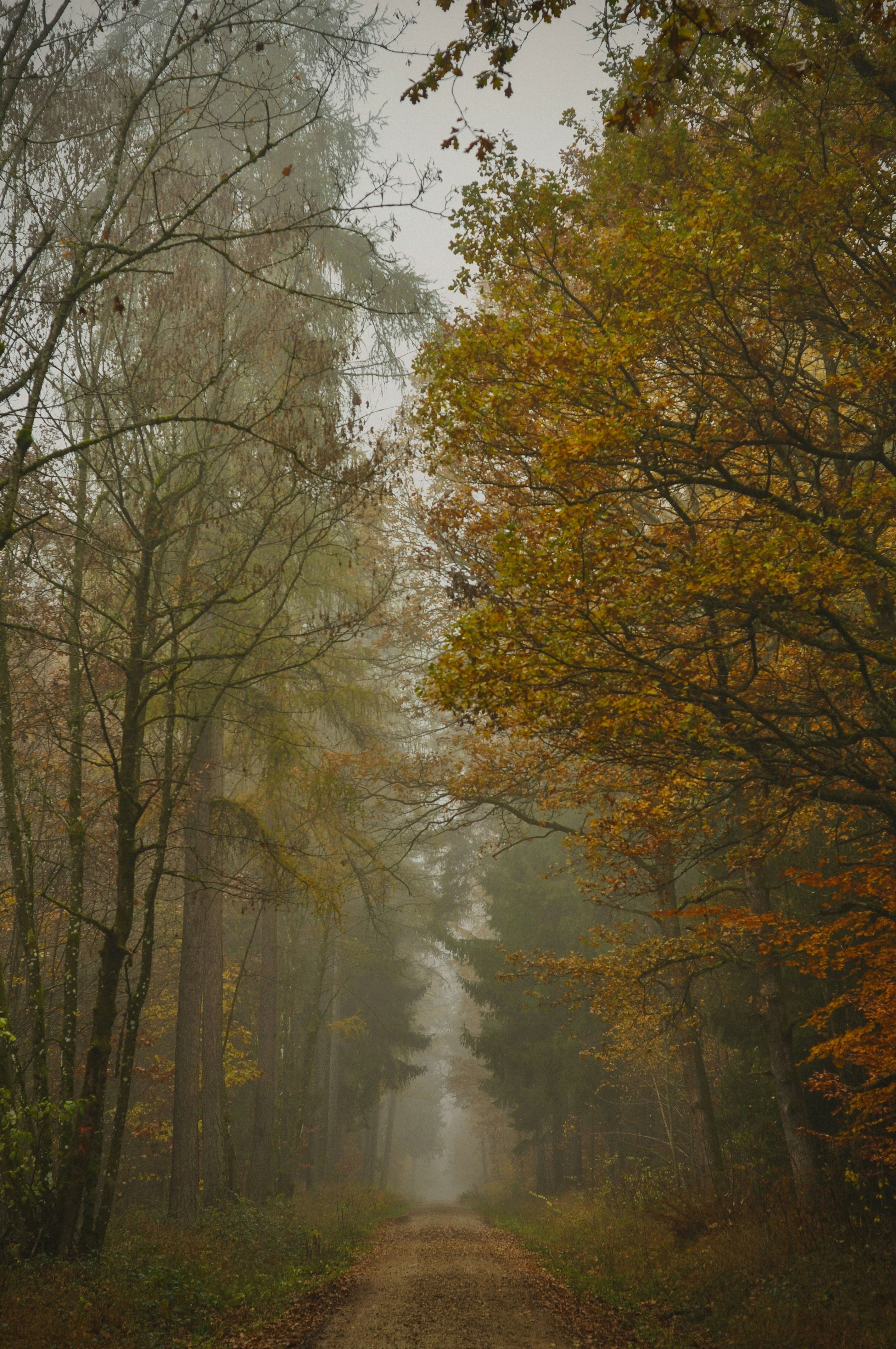 Photo by gorchinska88