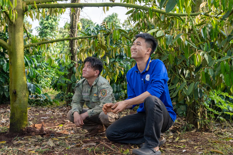 Đúng tình trạng vườn