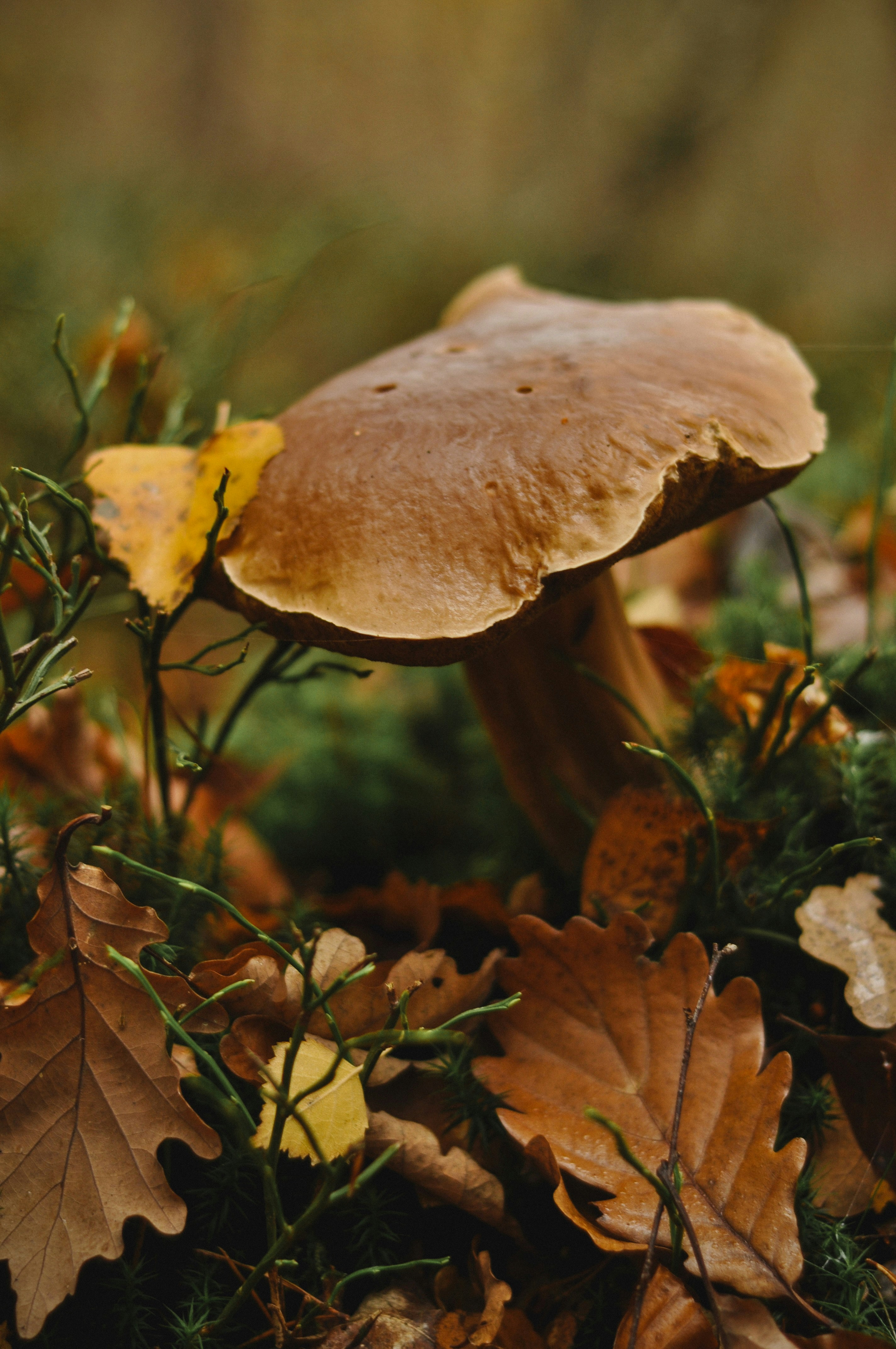 Photo by gorchinska88