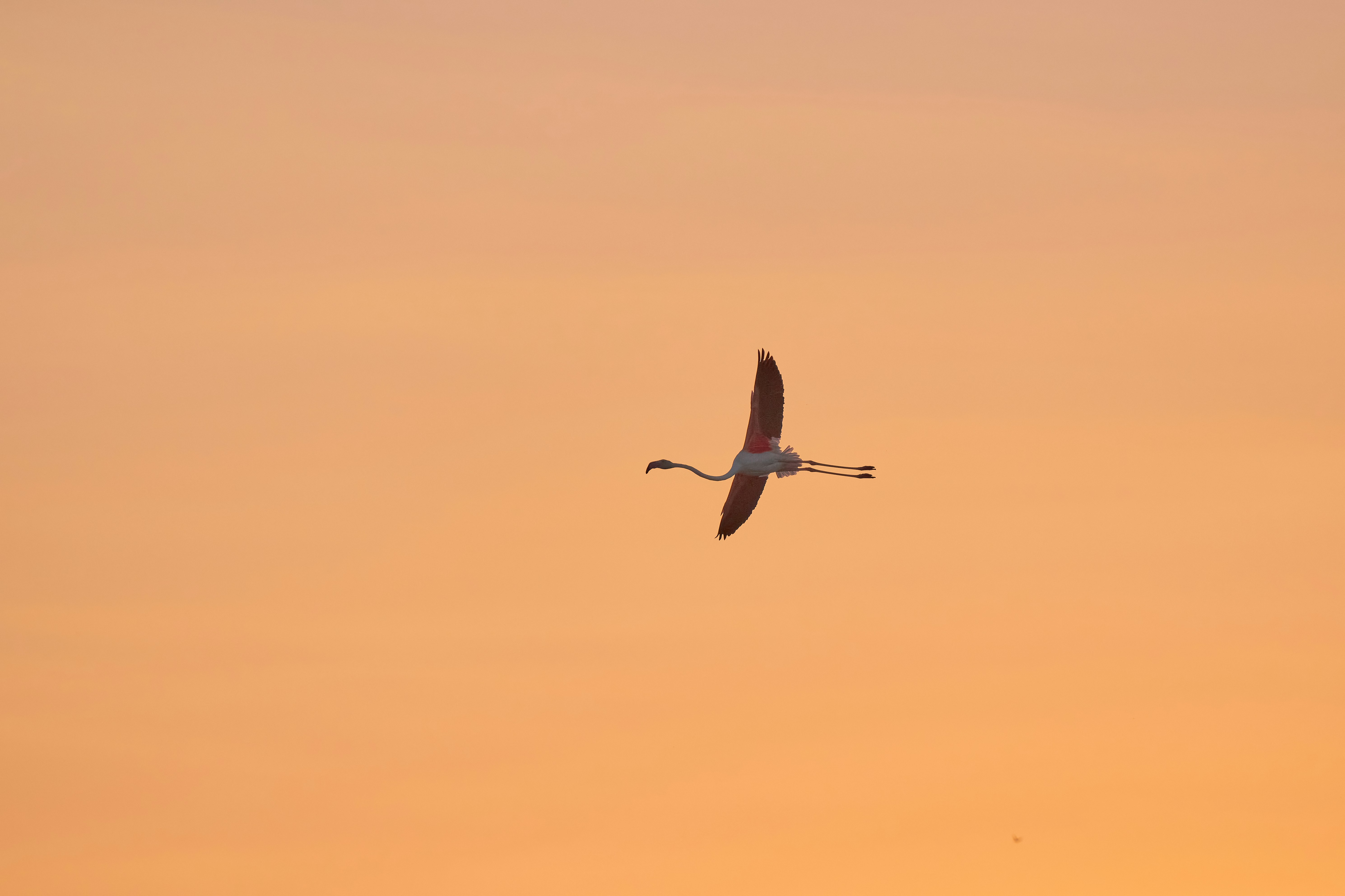 Collection Agencies Thrive With Relied On Classic Automobile Suppliers Who Unveil Covert Gems And Market Insights-- Uncover The Crucial Benefits That Can Secure Your Financial Investment