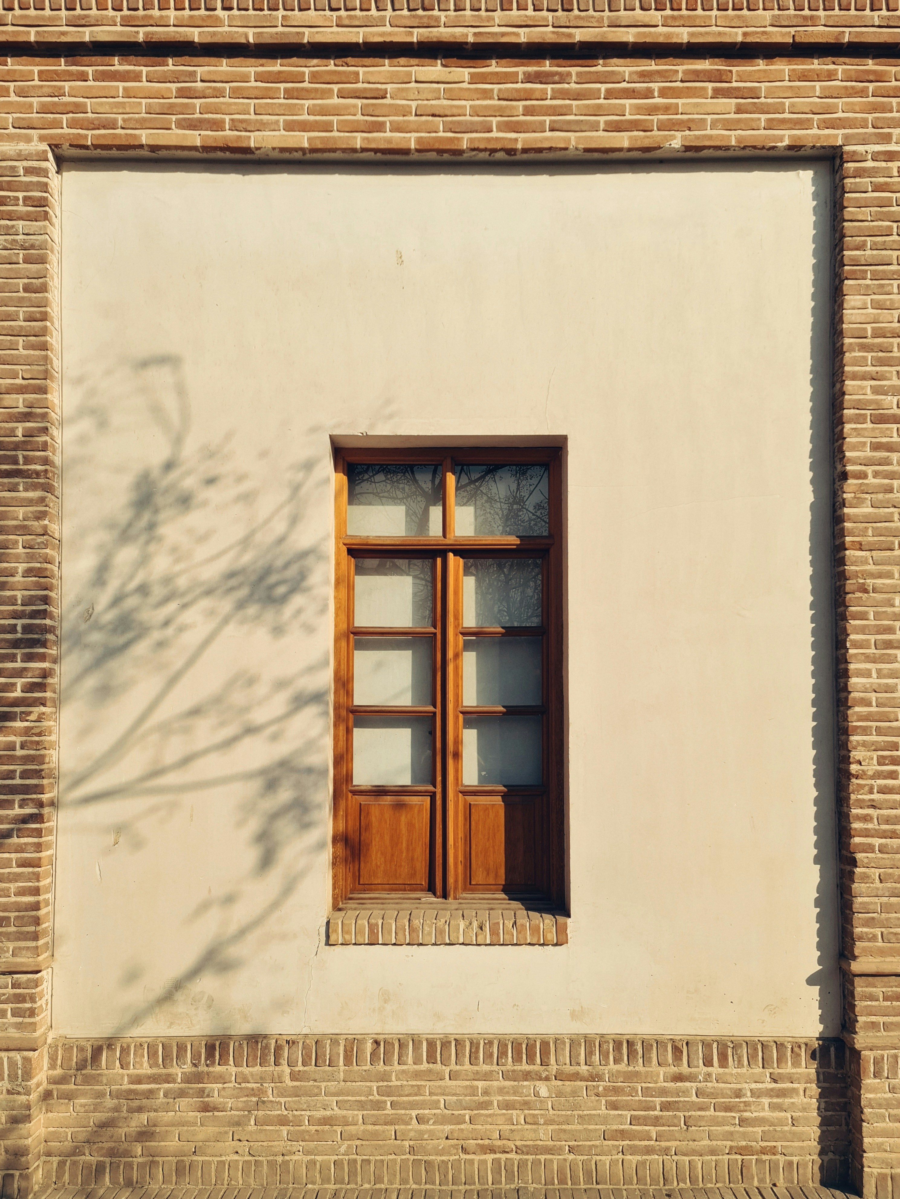 Ventana de madera con sombra de árbol en la pared.