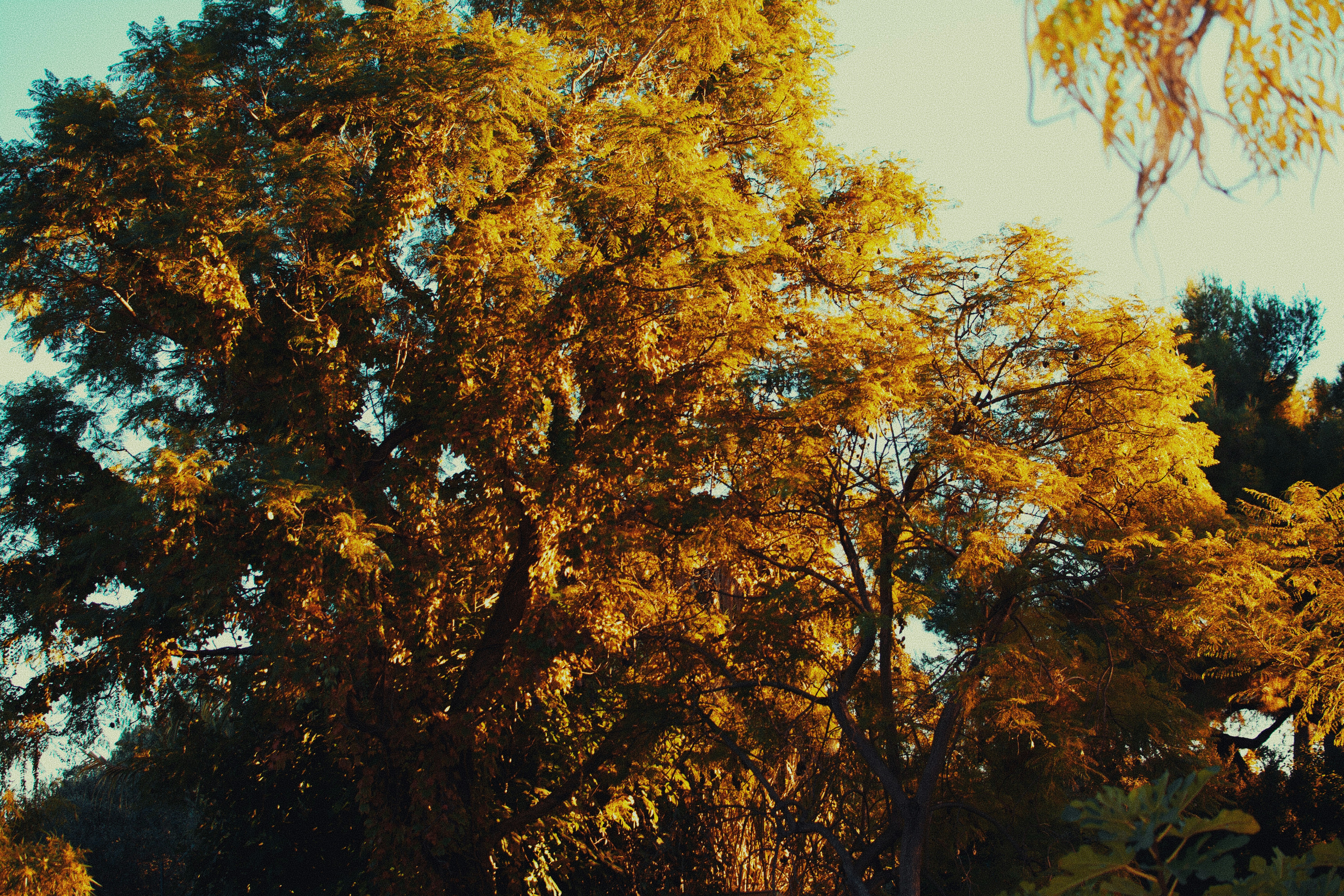 Photo by adamboukhris