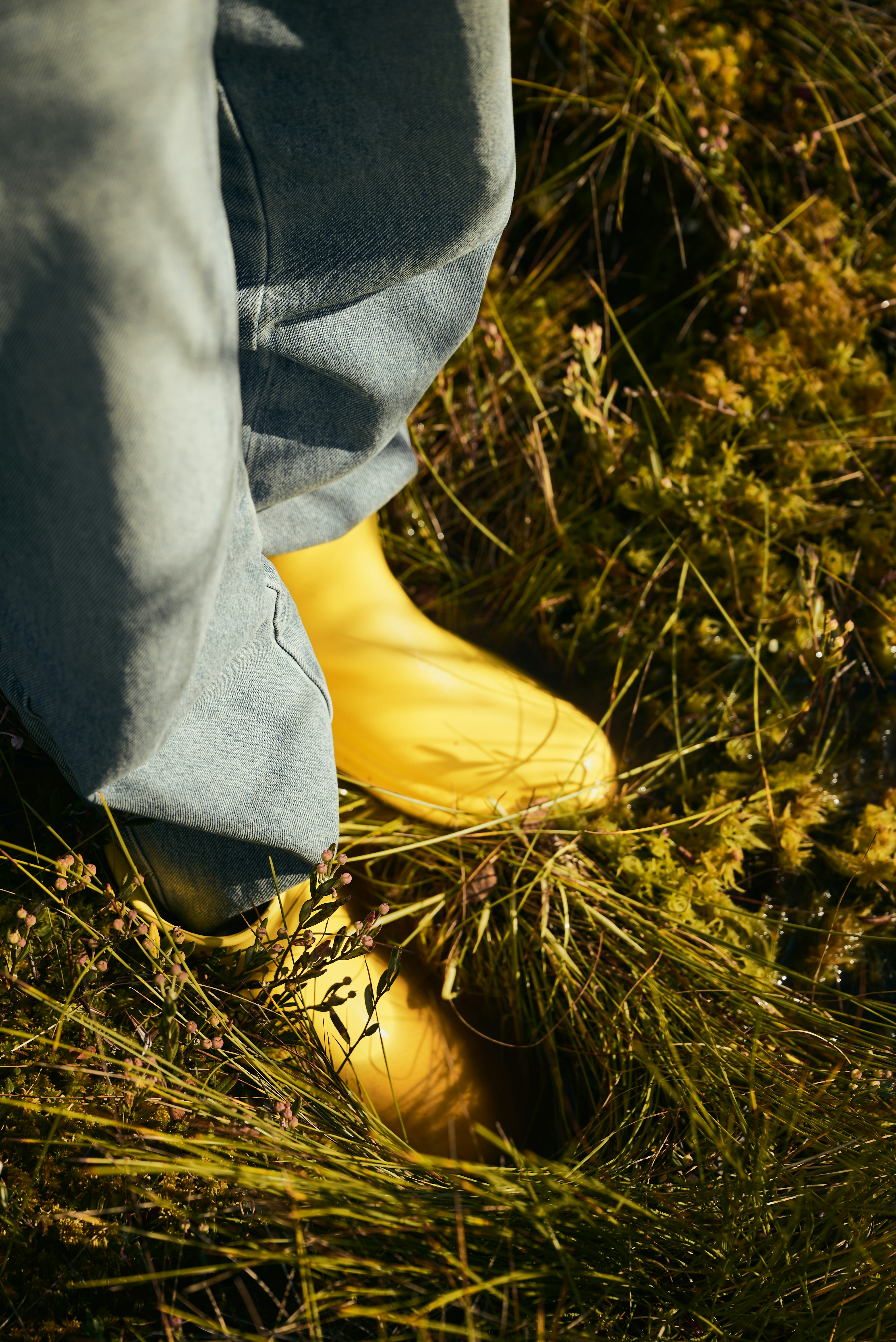 Person wearing yellow boots in tall grass.