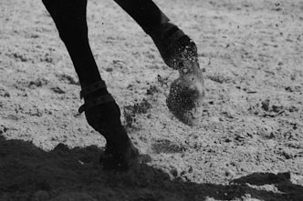 Horse hooves kicking up sand on a track