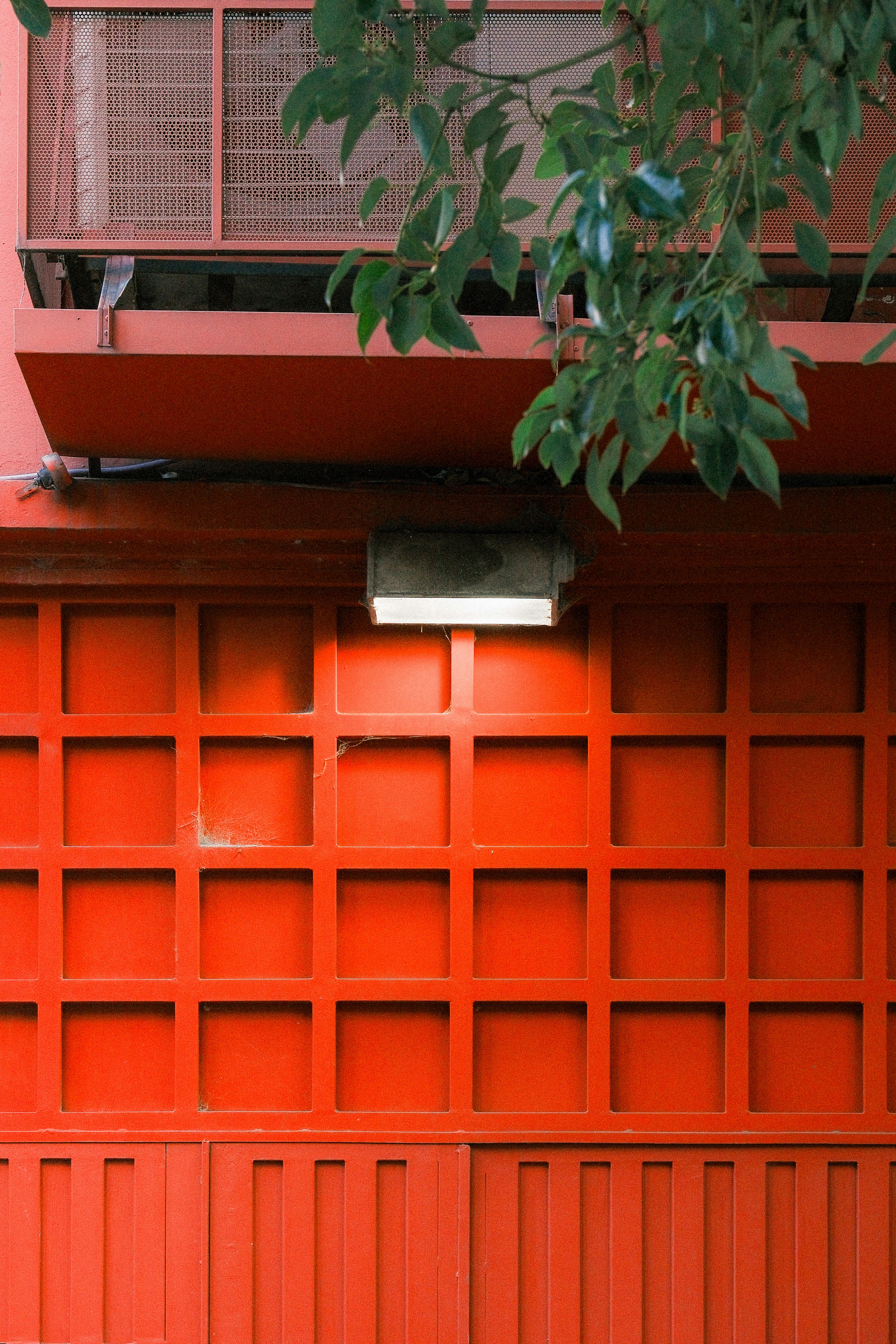 Photo by justalifein