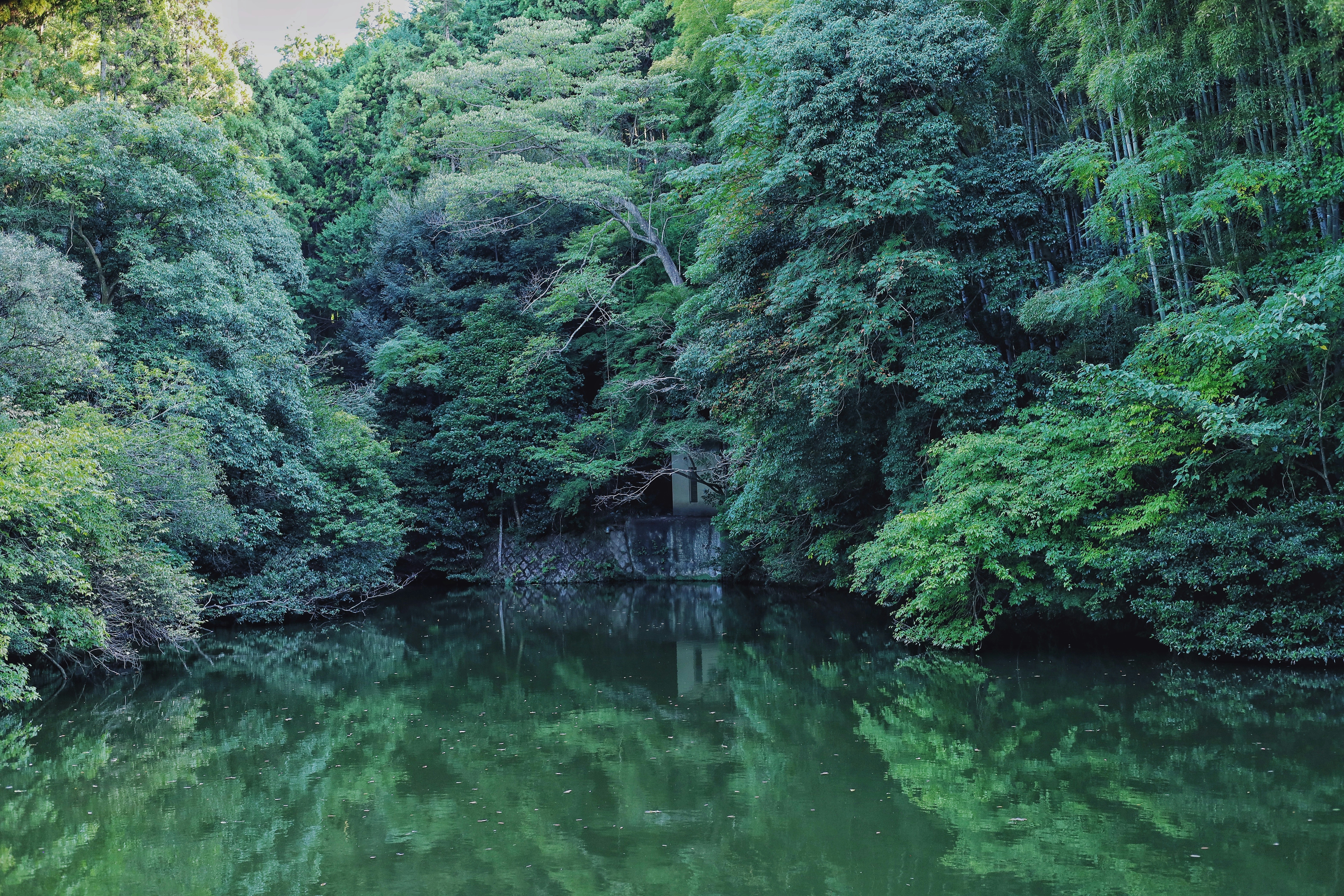 Photo by holawalterlee