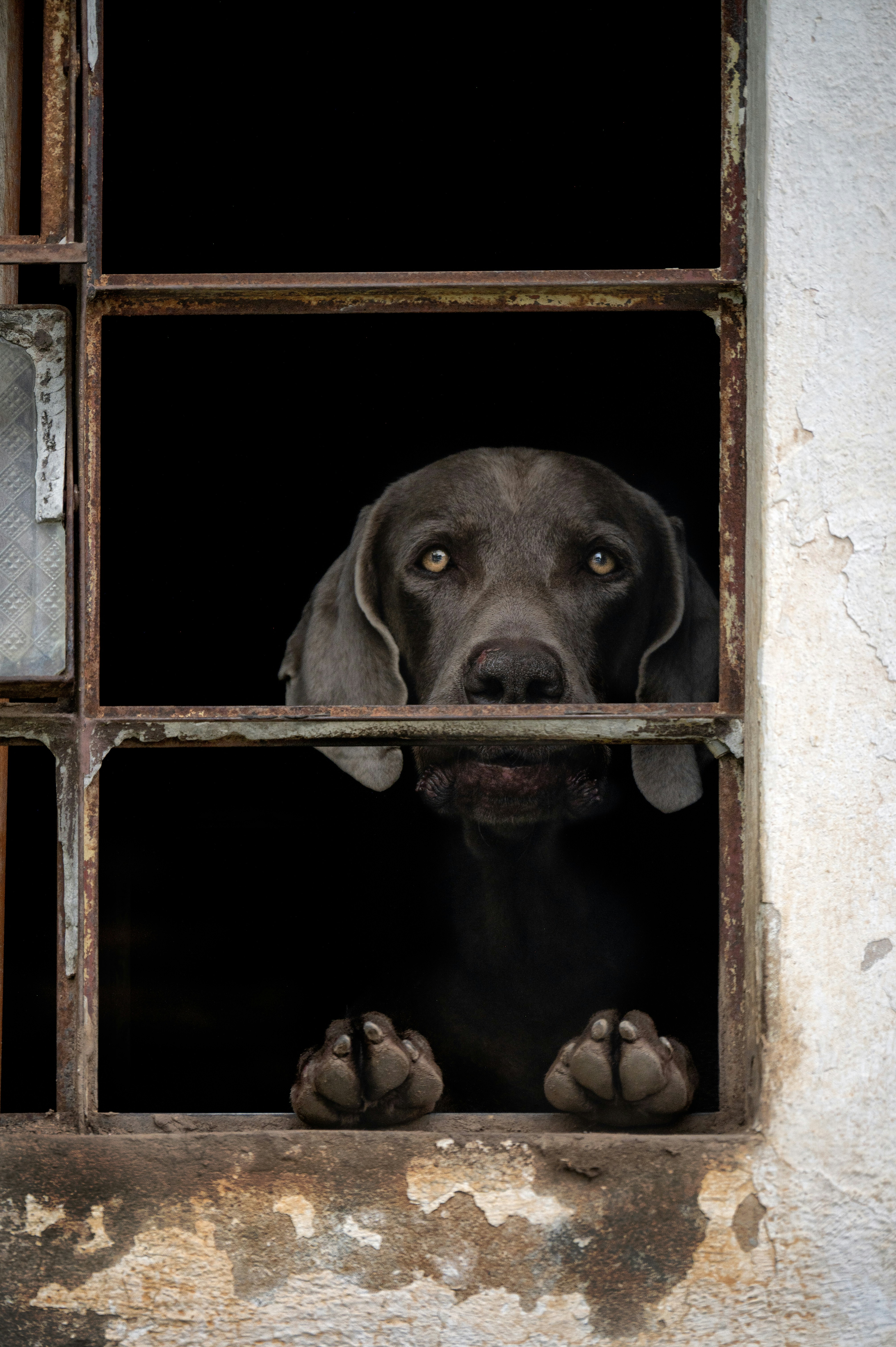 Photo by sergiofernandesindaiatuba