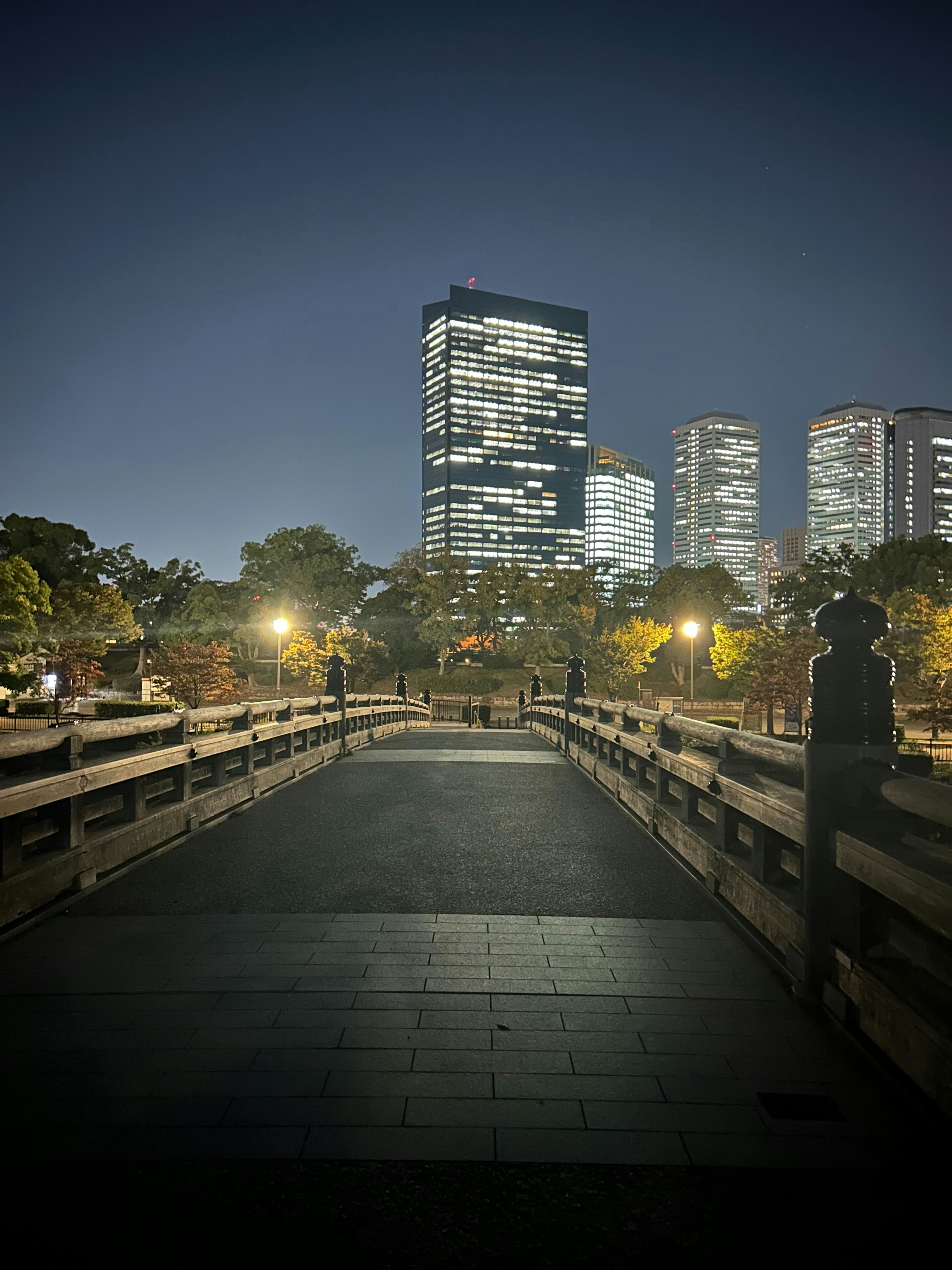 Wooden bridge leading to illuminated city buildings at night