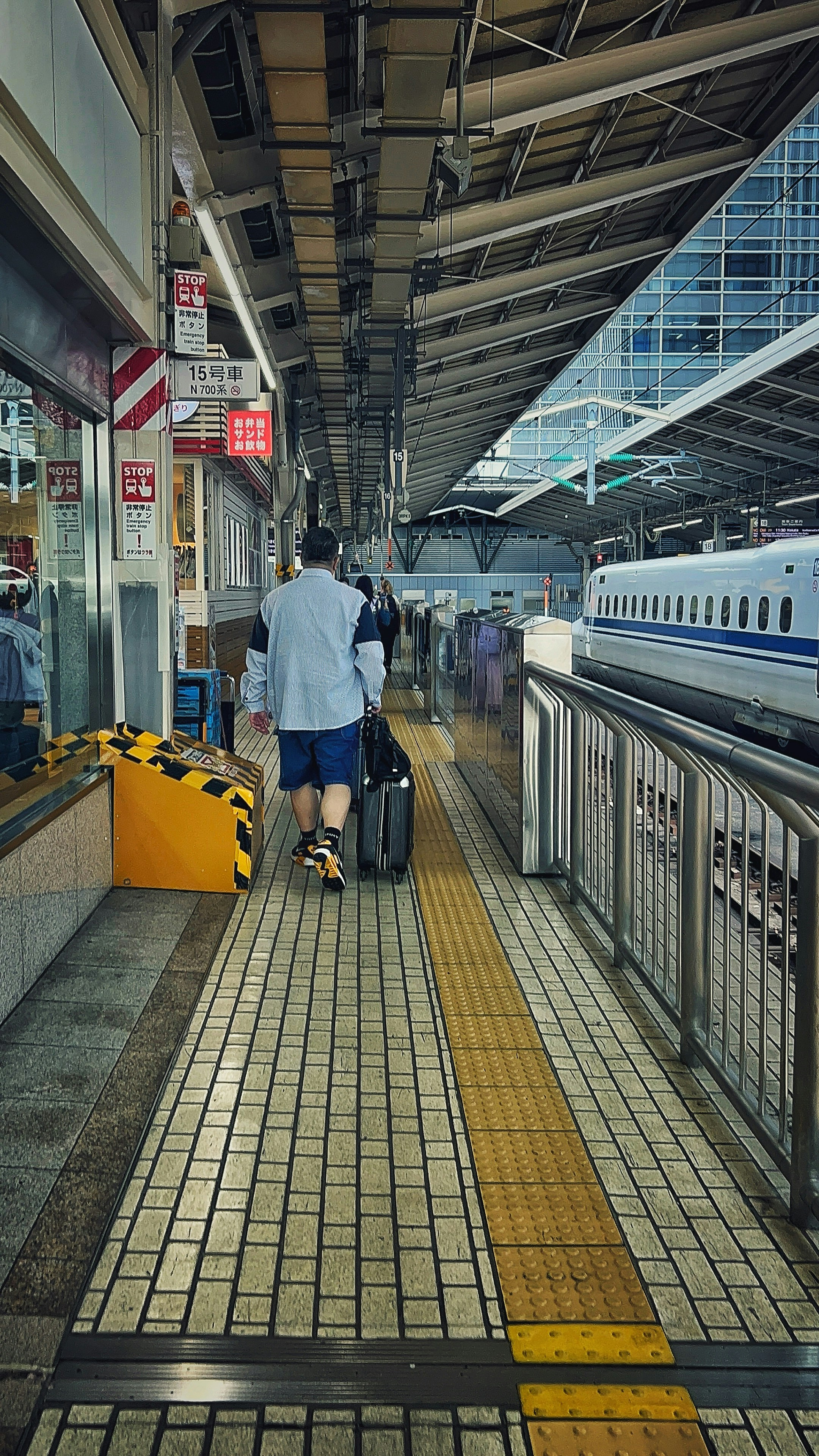 Man with suitcase walks on train station platform.