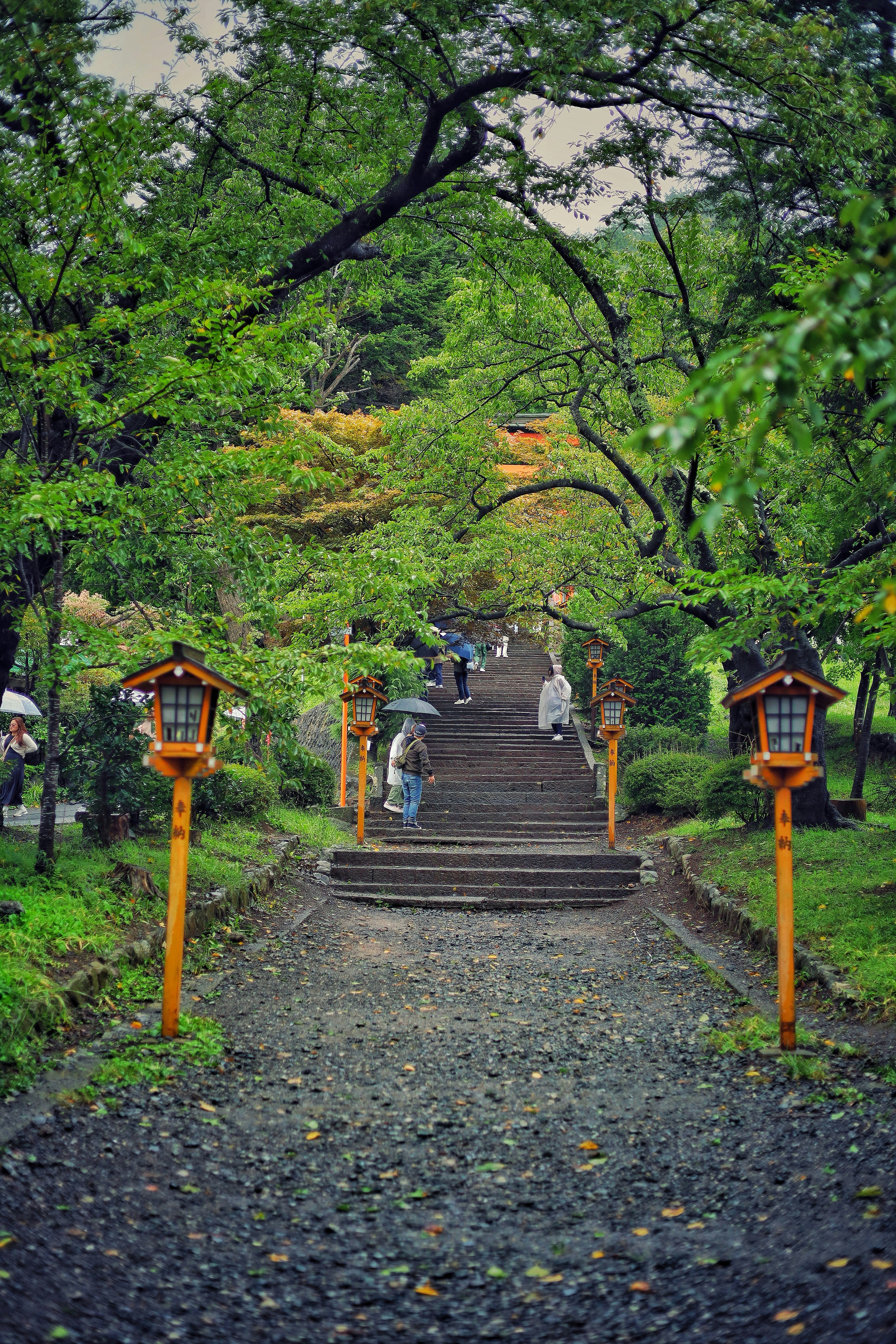 Stone stairs ascend through a lush green park.