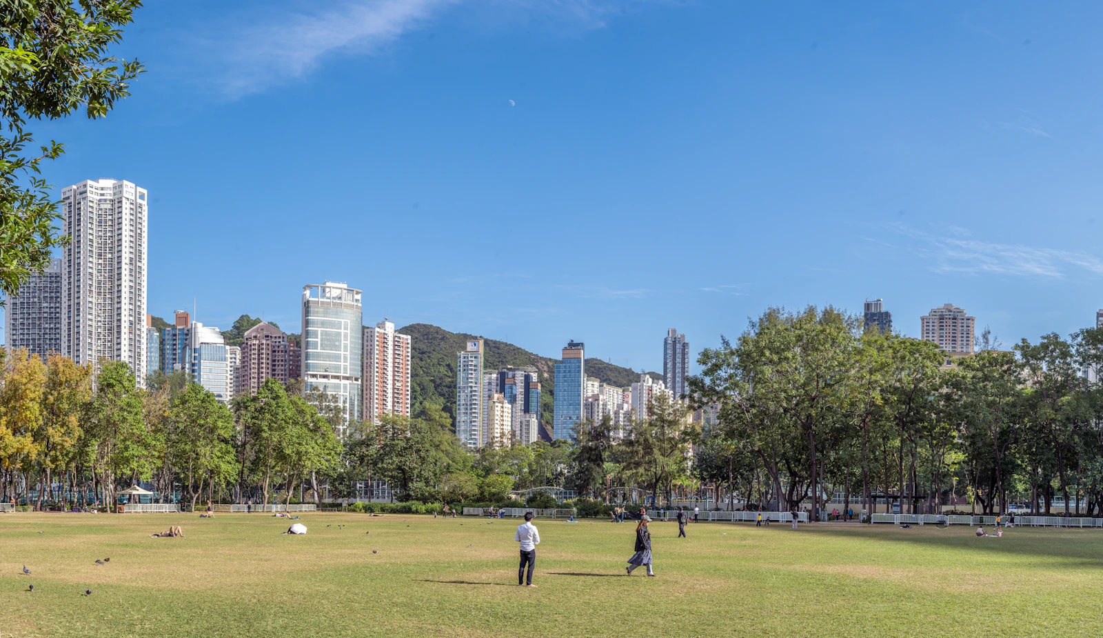 City skyline with green park