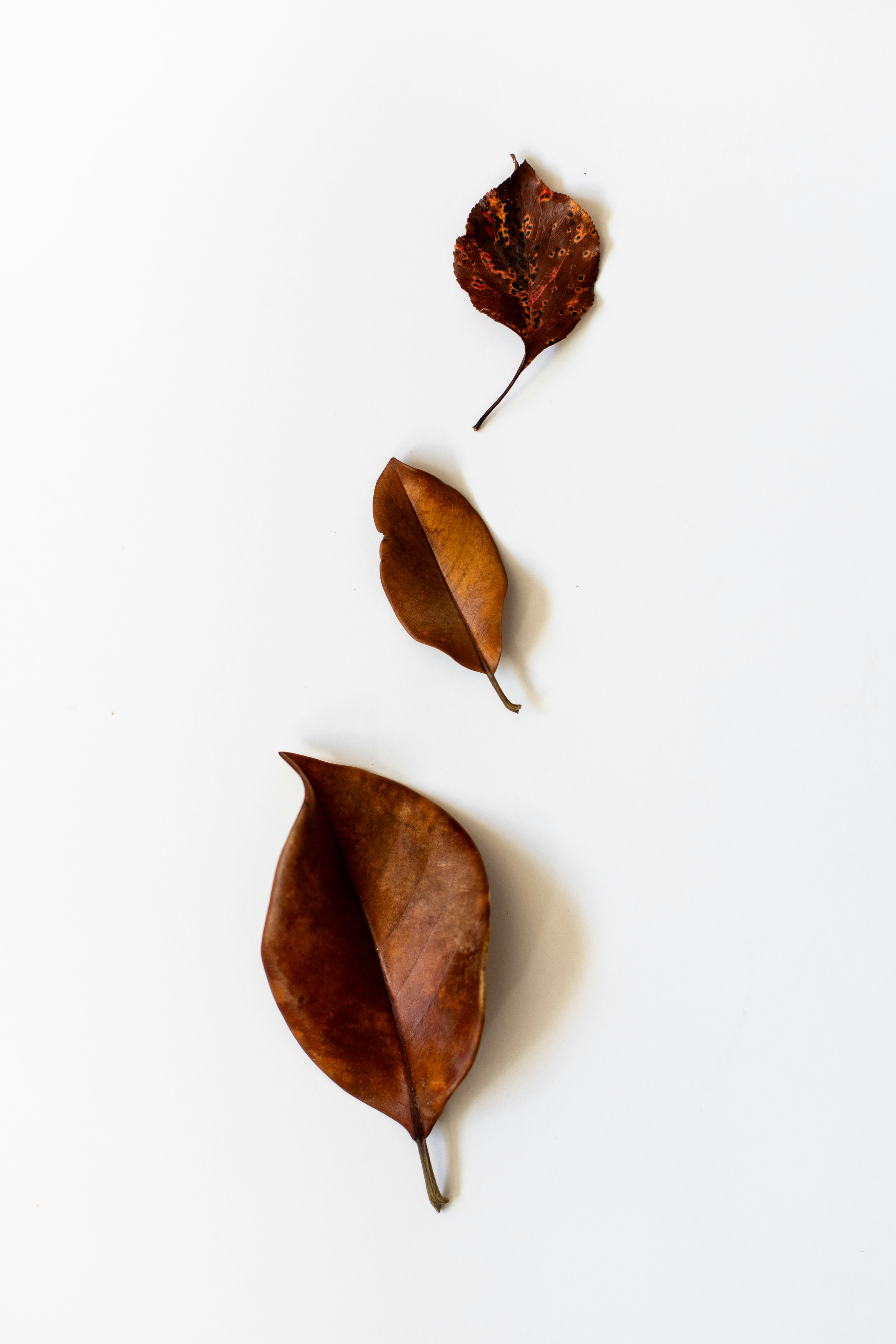 Photo by sixteenmilesout