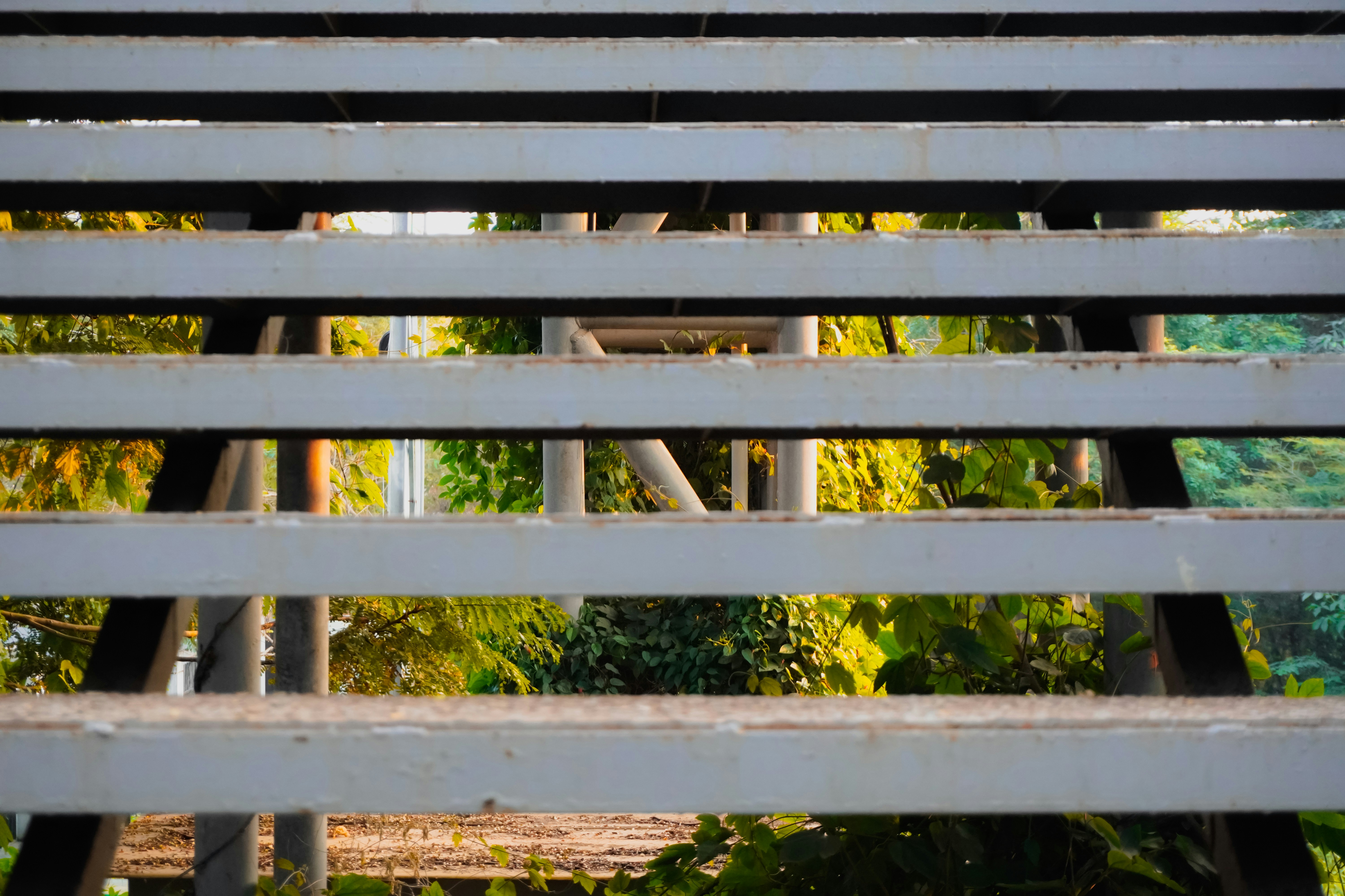 Photo by adhitya_2505