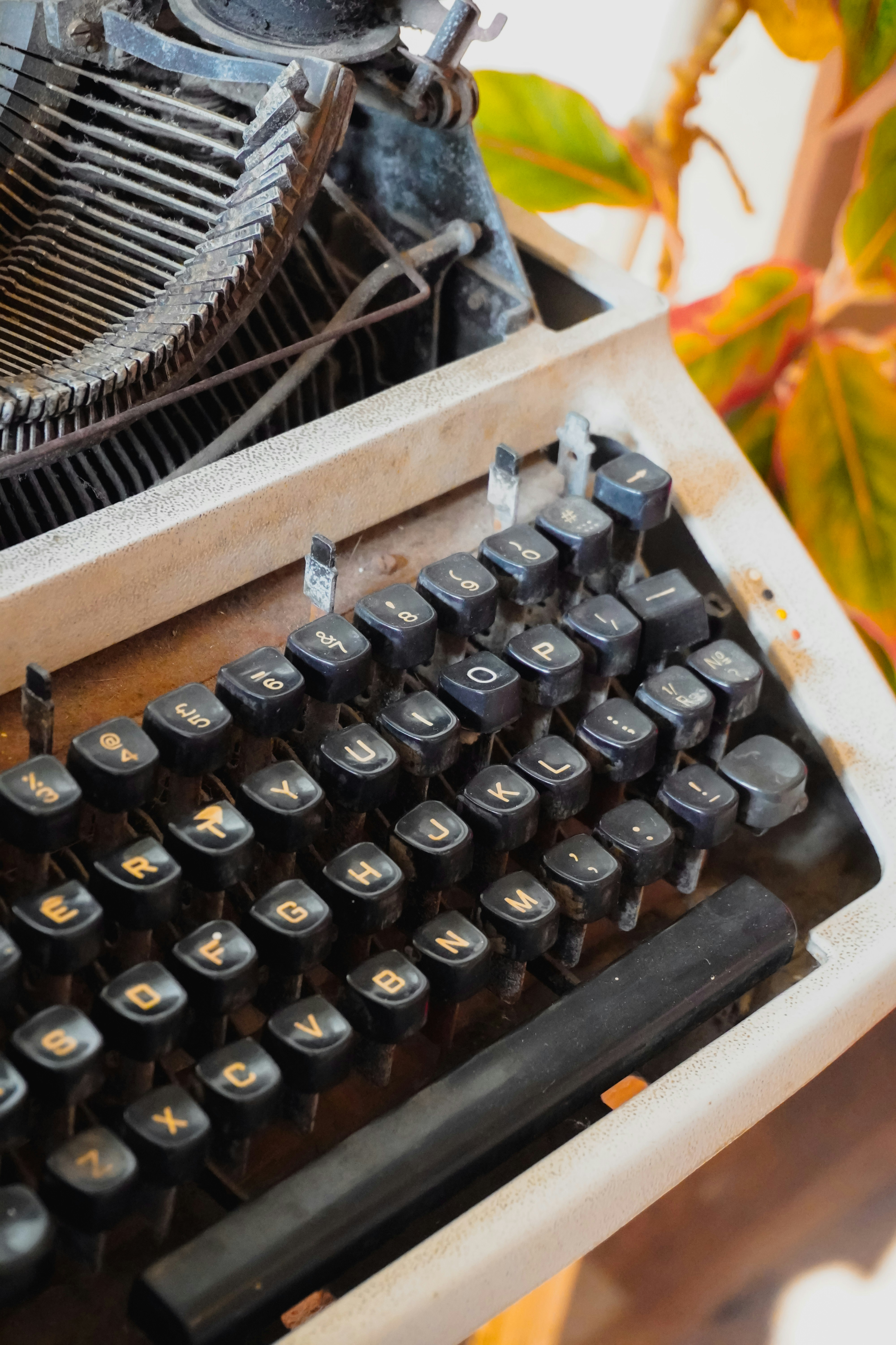 Photo by adhitya_2505