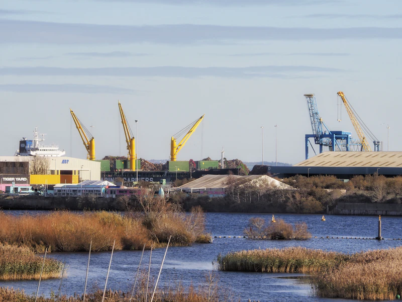 Mantenimiento de un velero en el Río de la Plata: guía anual