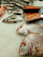 Fresh fish displayed on ice at market