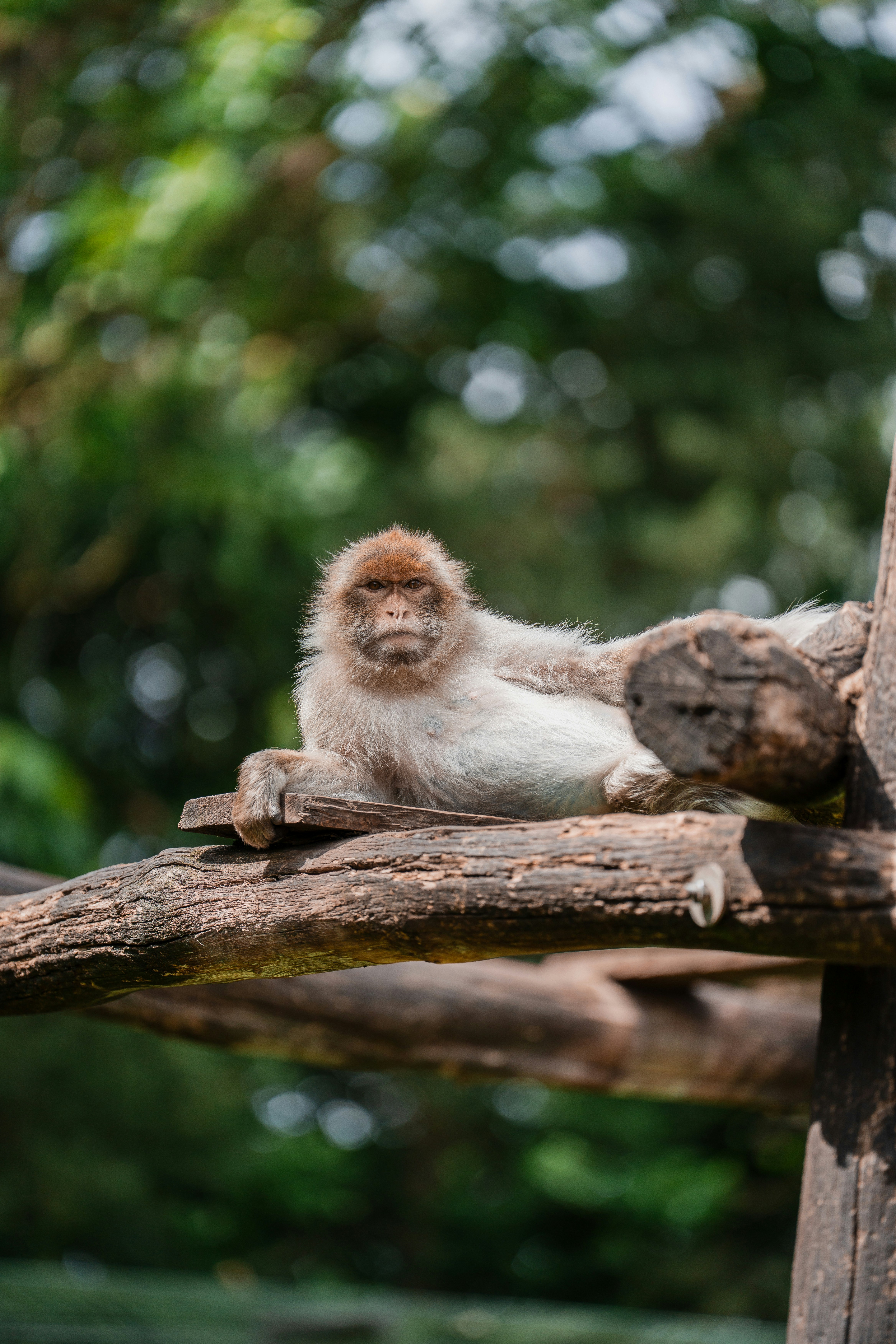 Photo by trfotografi