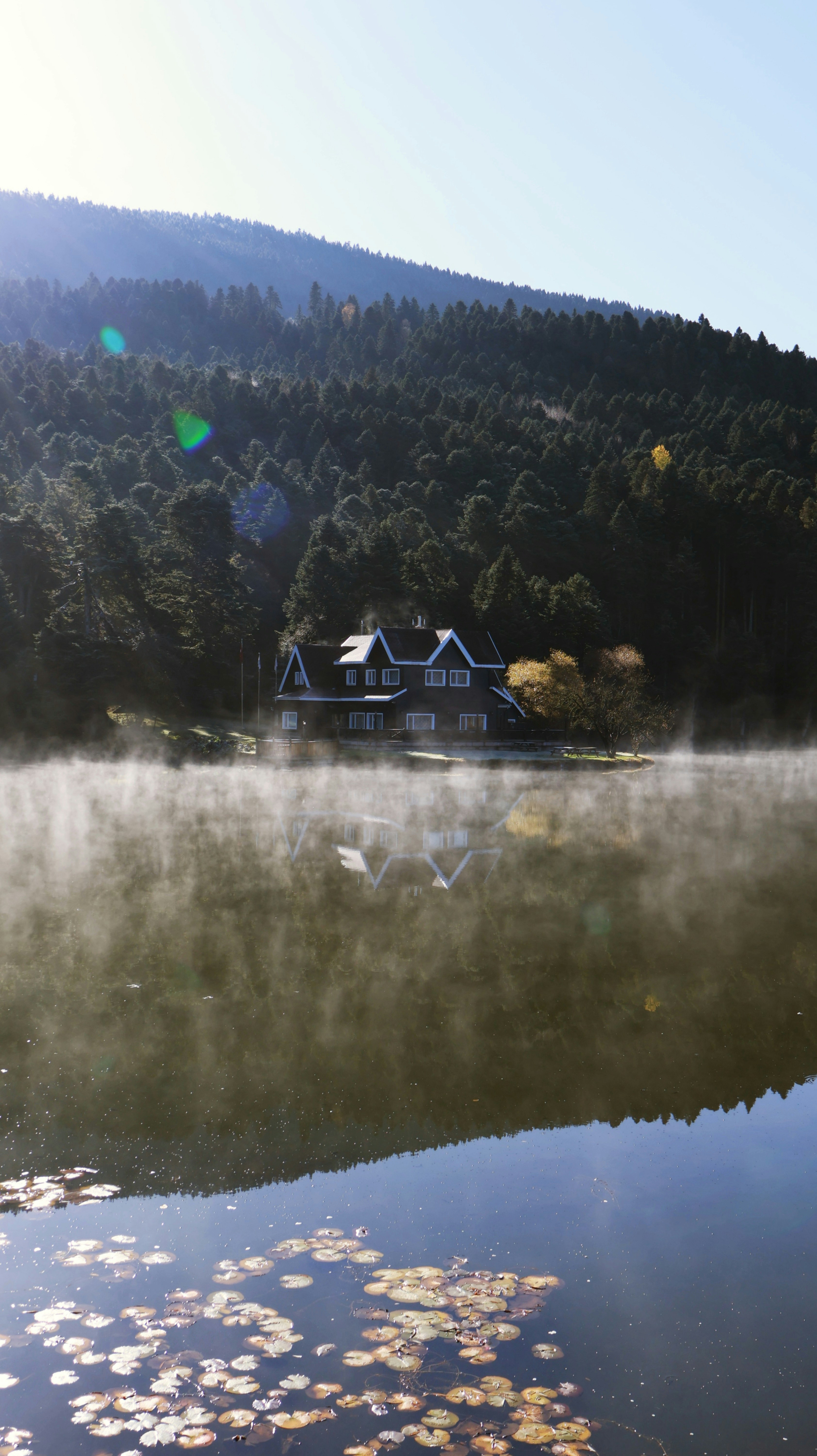 Photo by reniartdiary