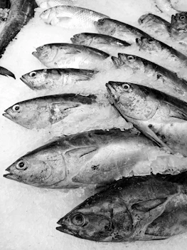 Fresh fish displayed on ice at a market.