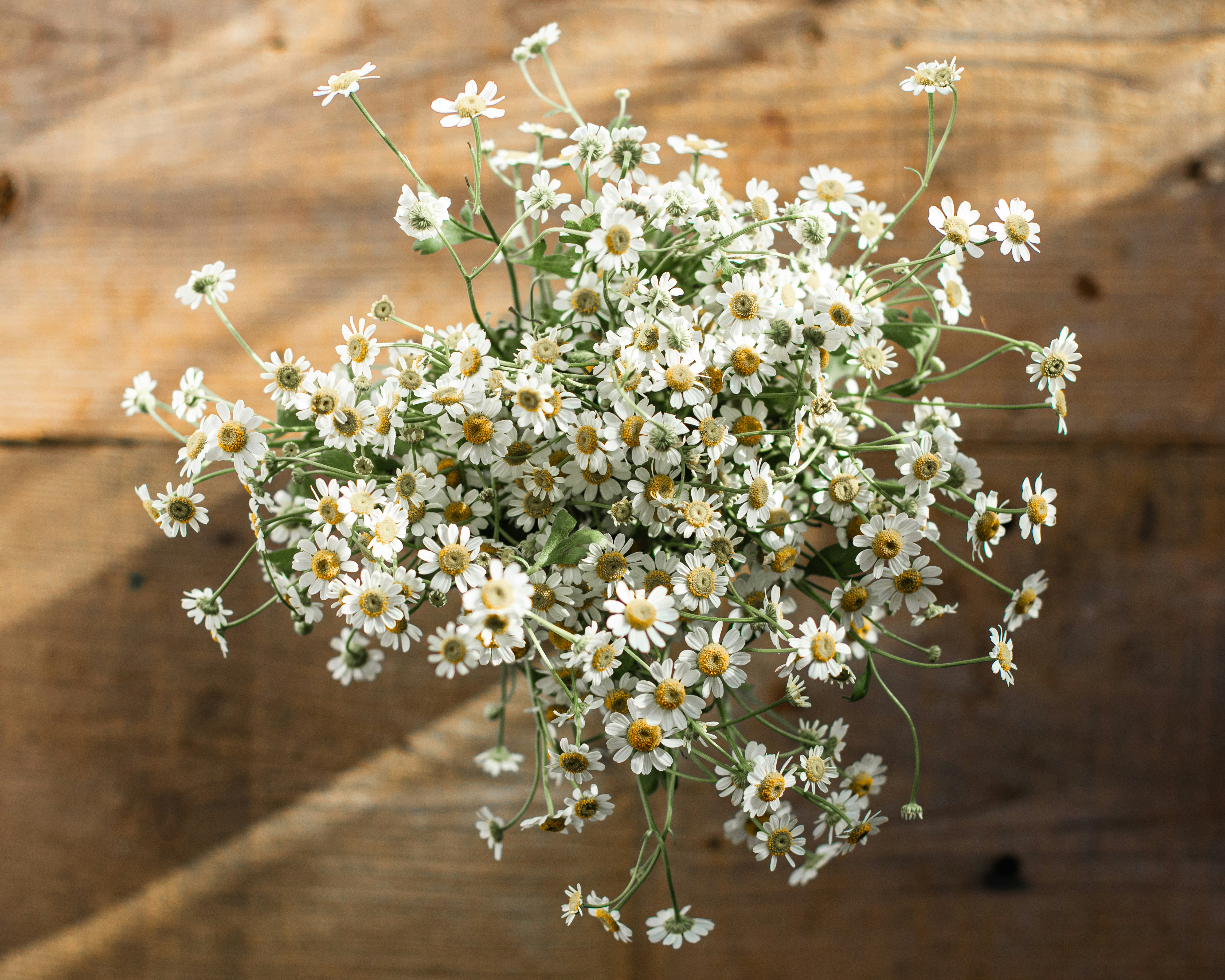 A bouquet of small white daisies on a wooden background