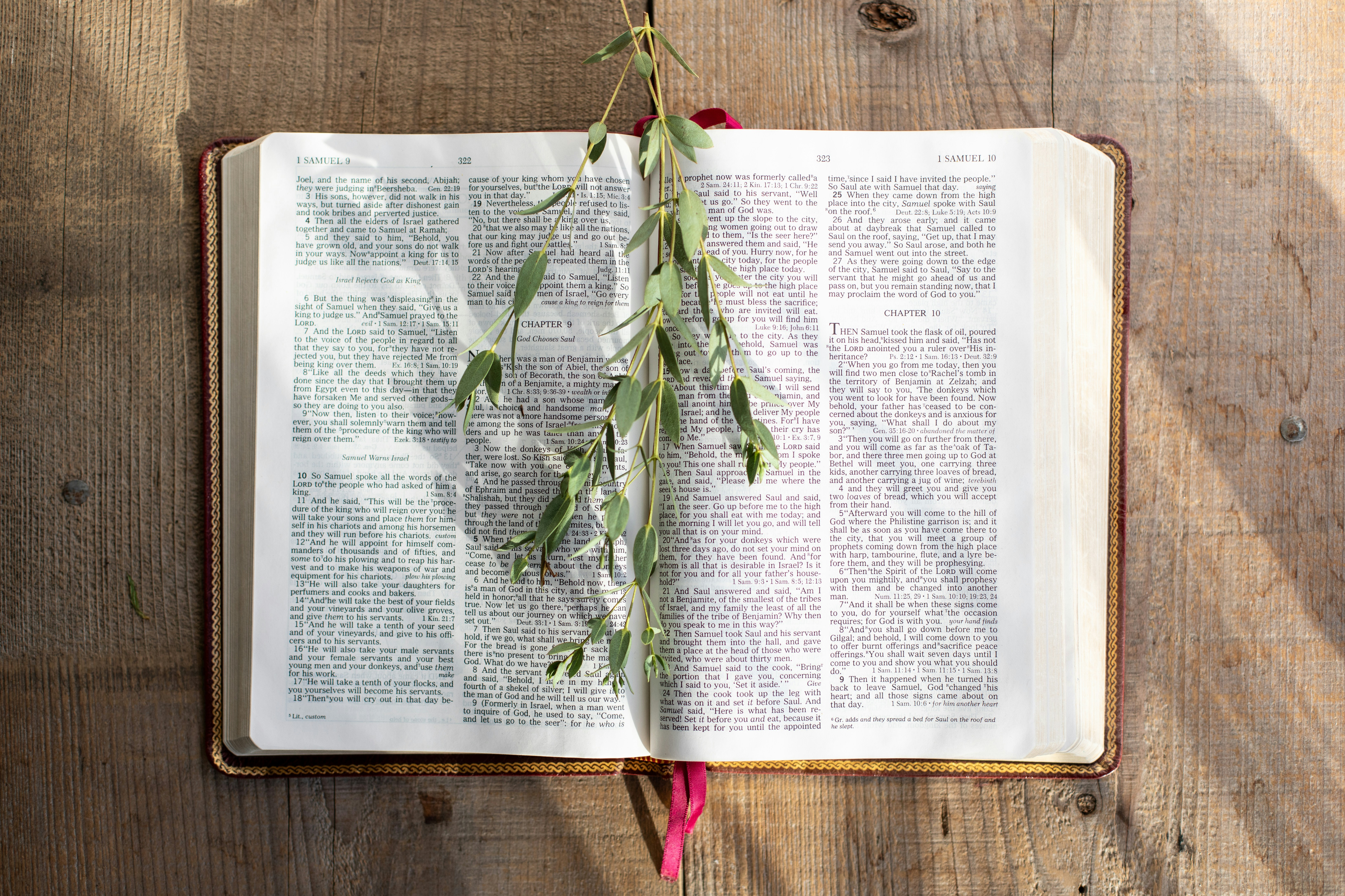 Photo by sixteenmilesout