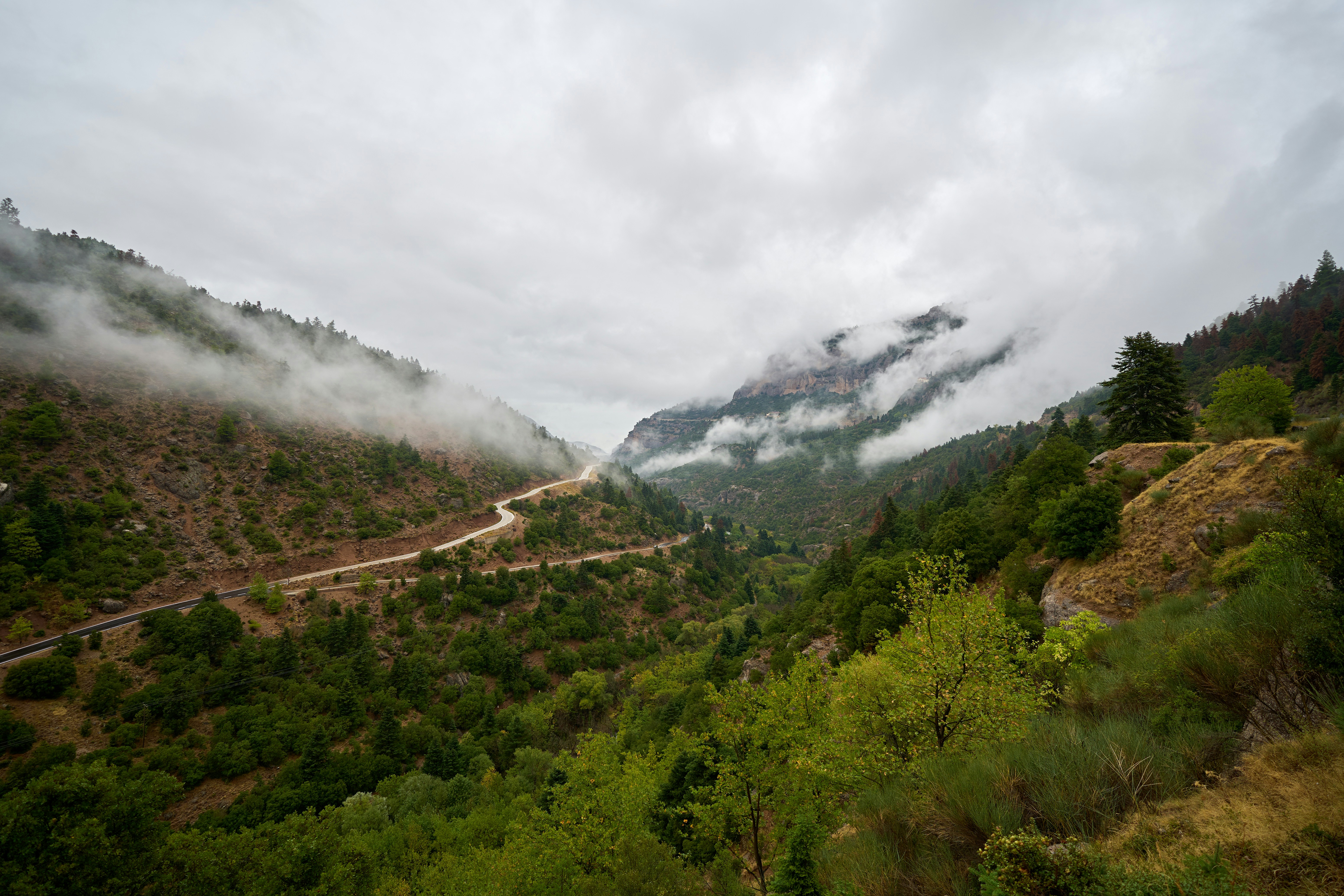 Misty mountains with a winding road through trees.