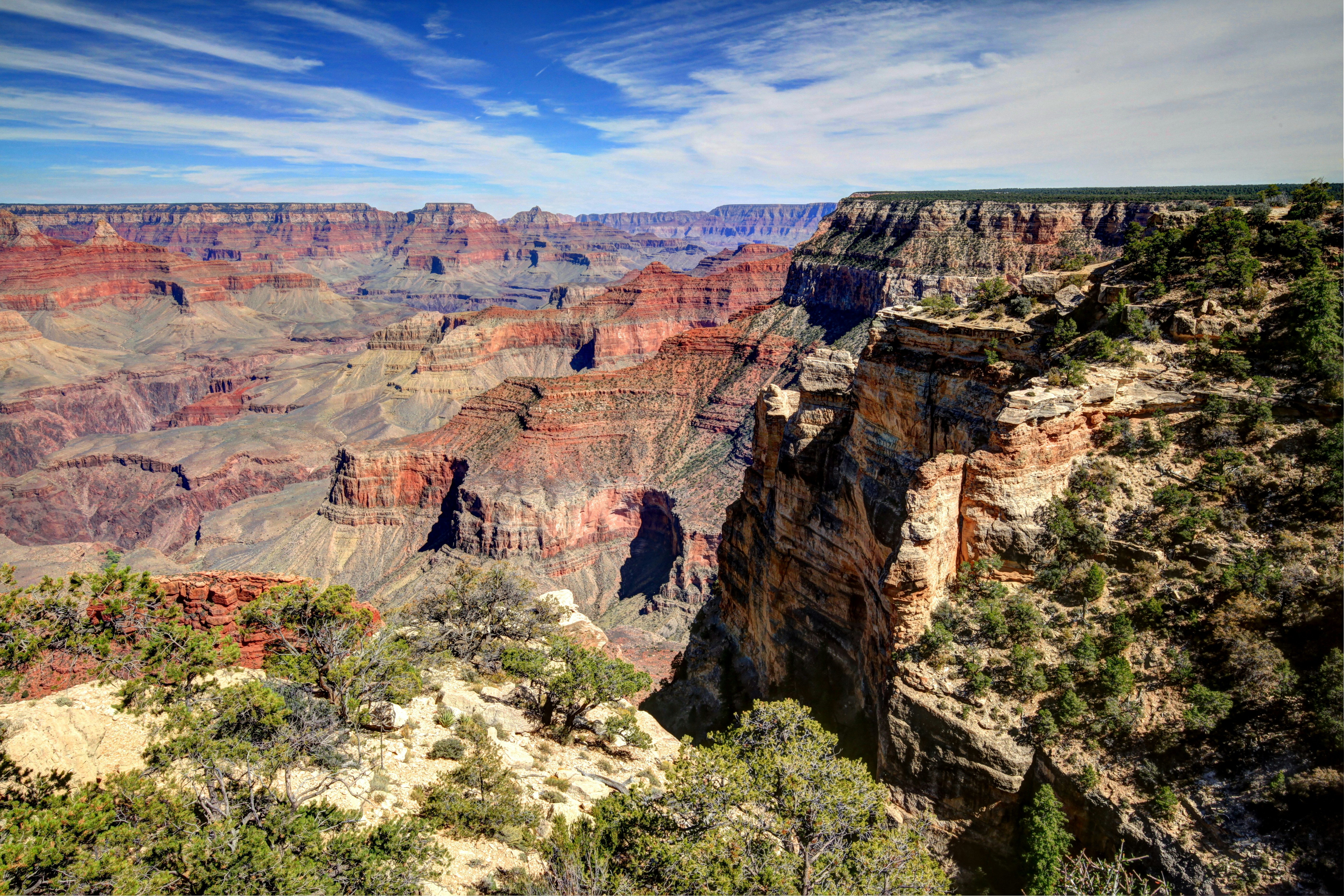 Photo by goldenplover31