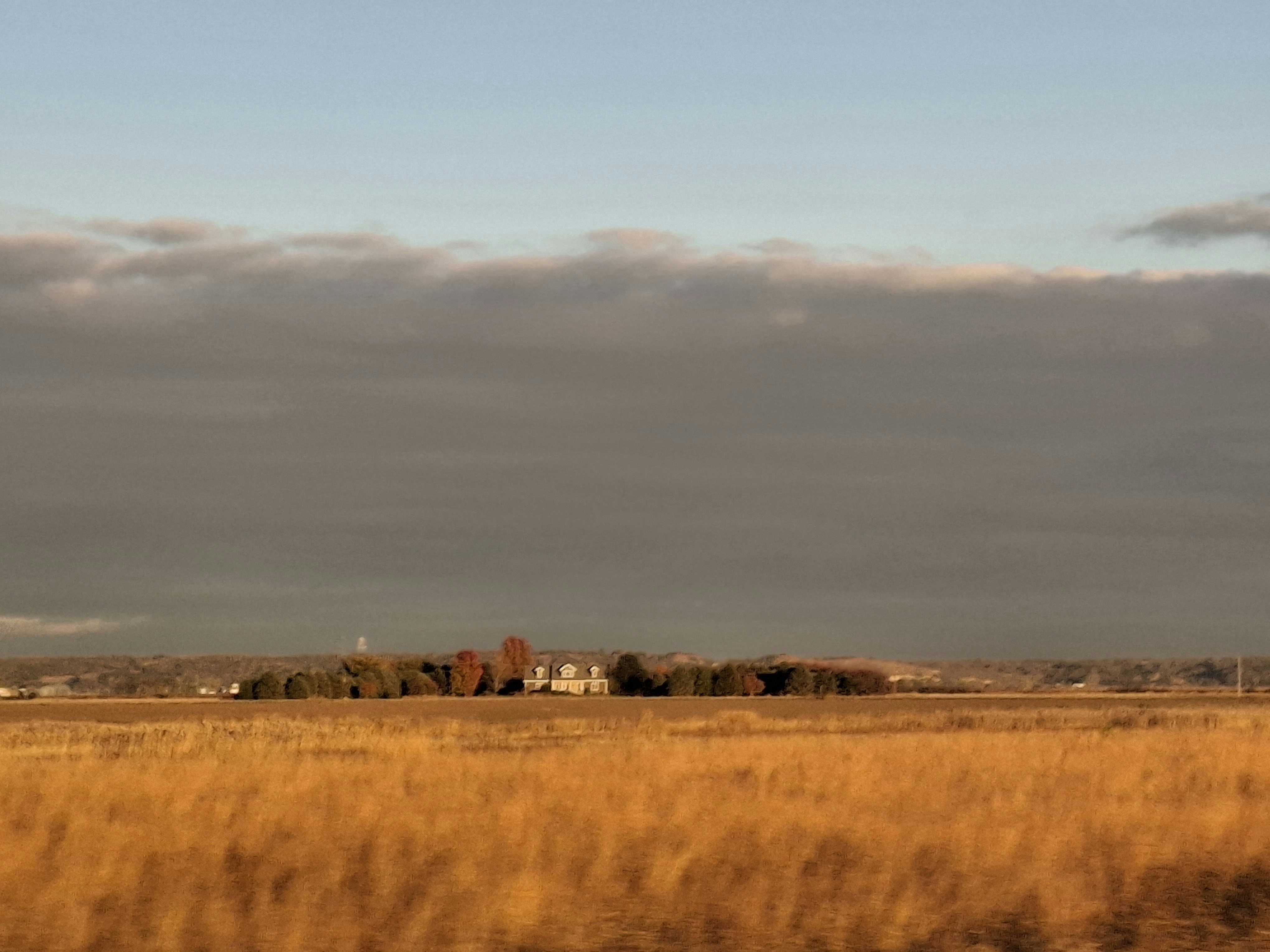 Photo by live_a_little08