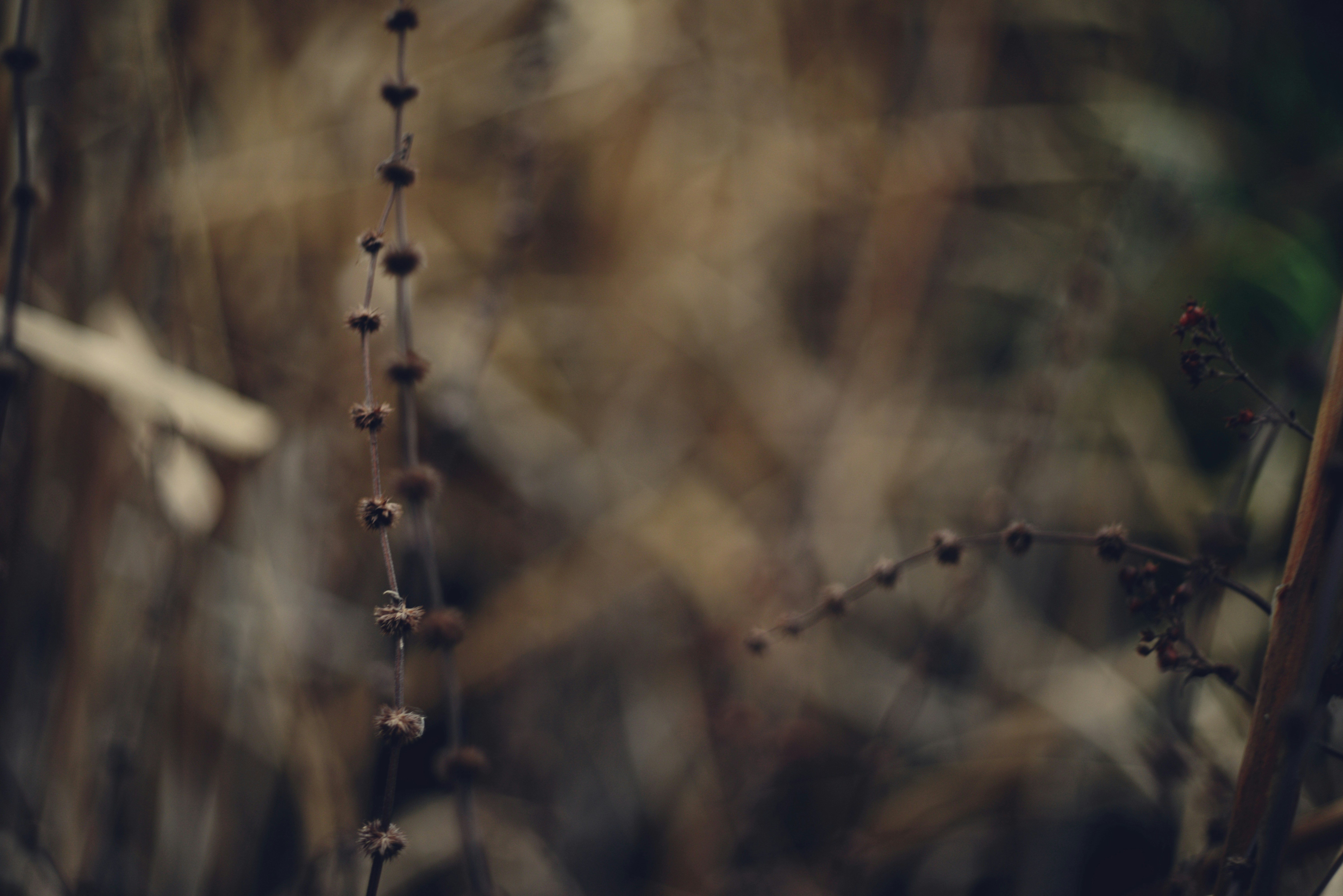 Photo by cherstve_pechivo