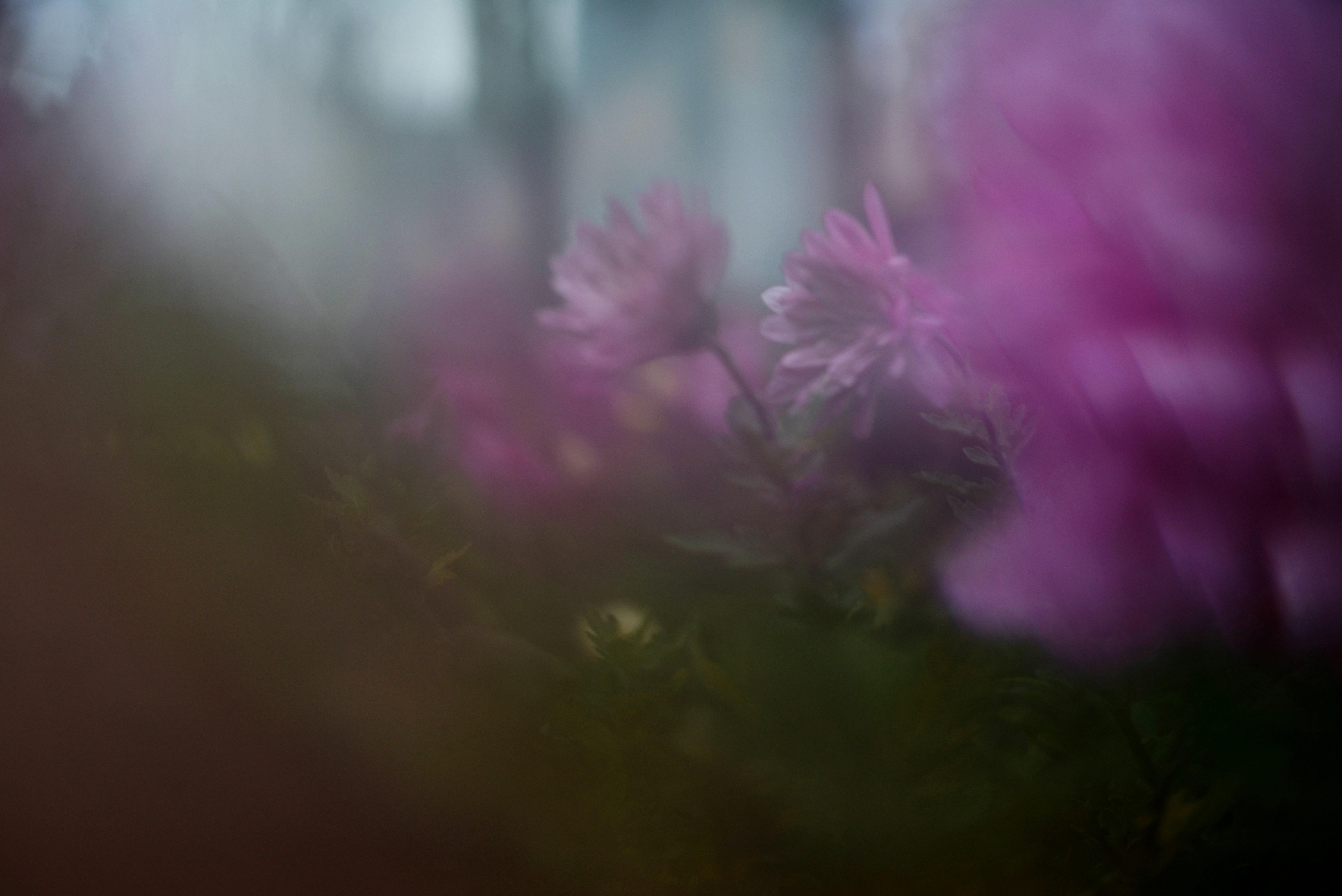 Photo by cherstve_pechivo