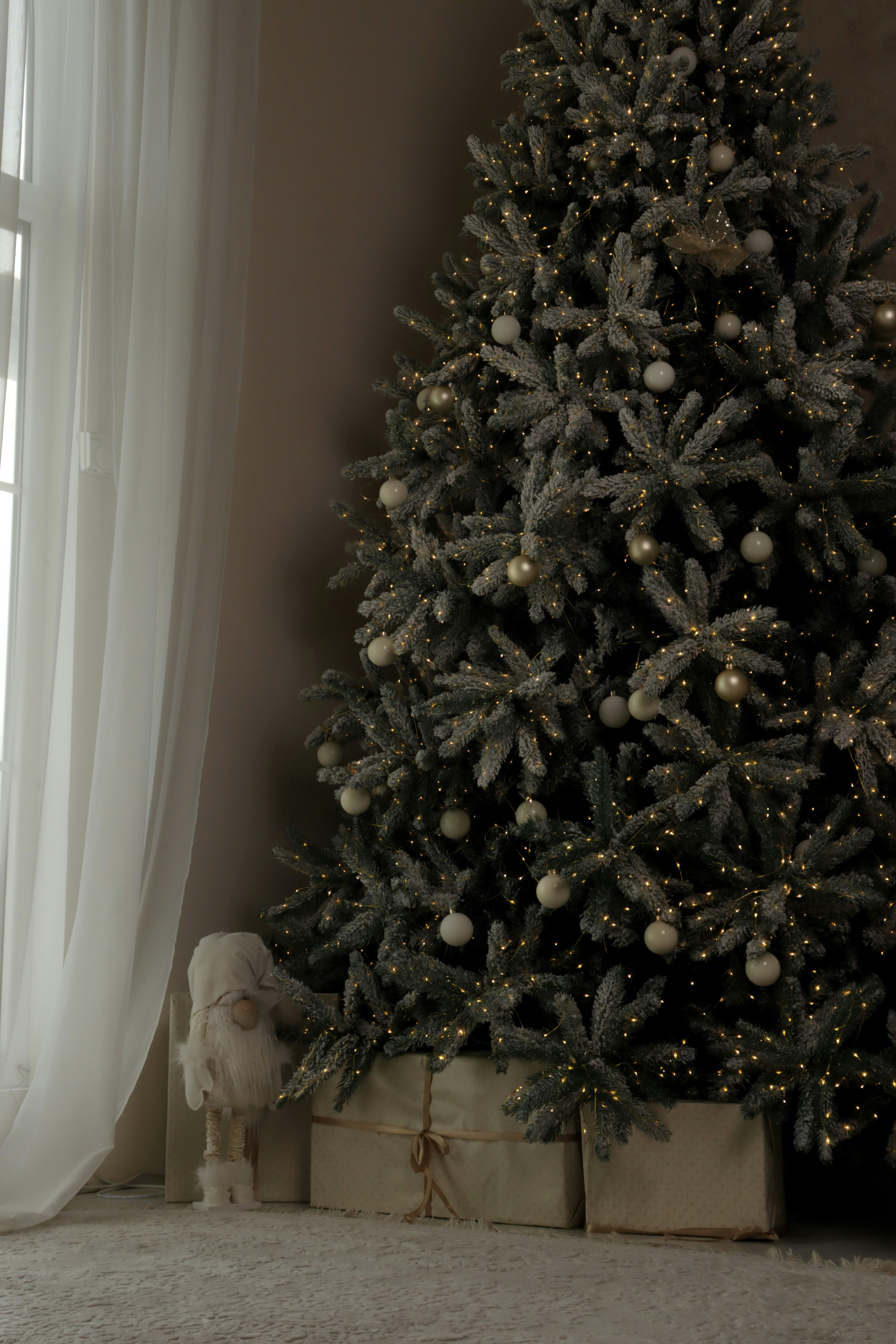 Photo by bored_mongoose