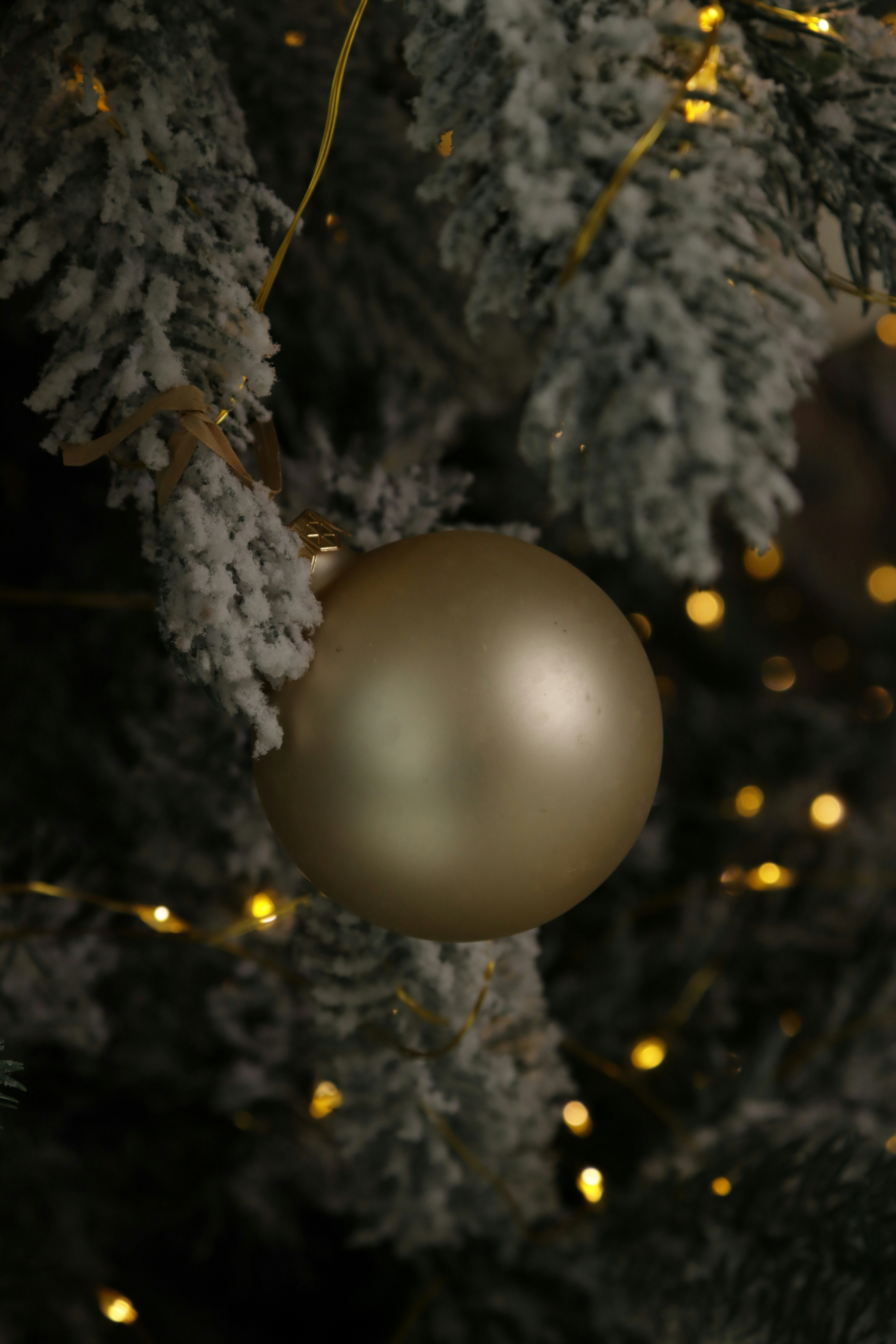 Photo by bored_mongoose