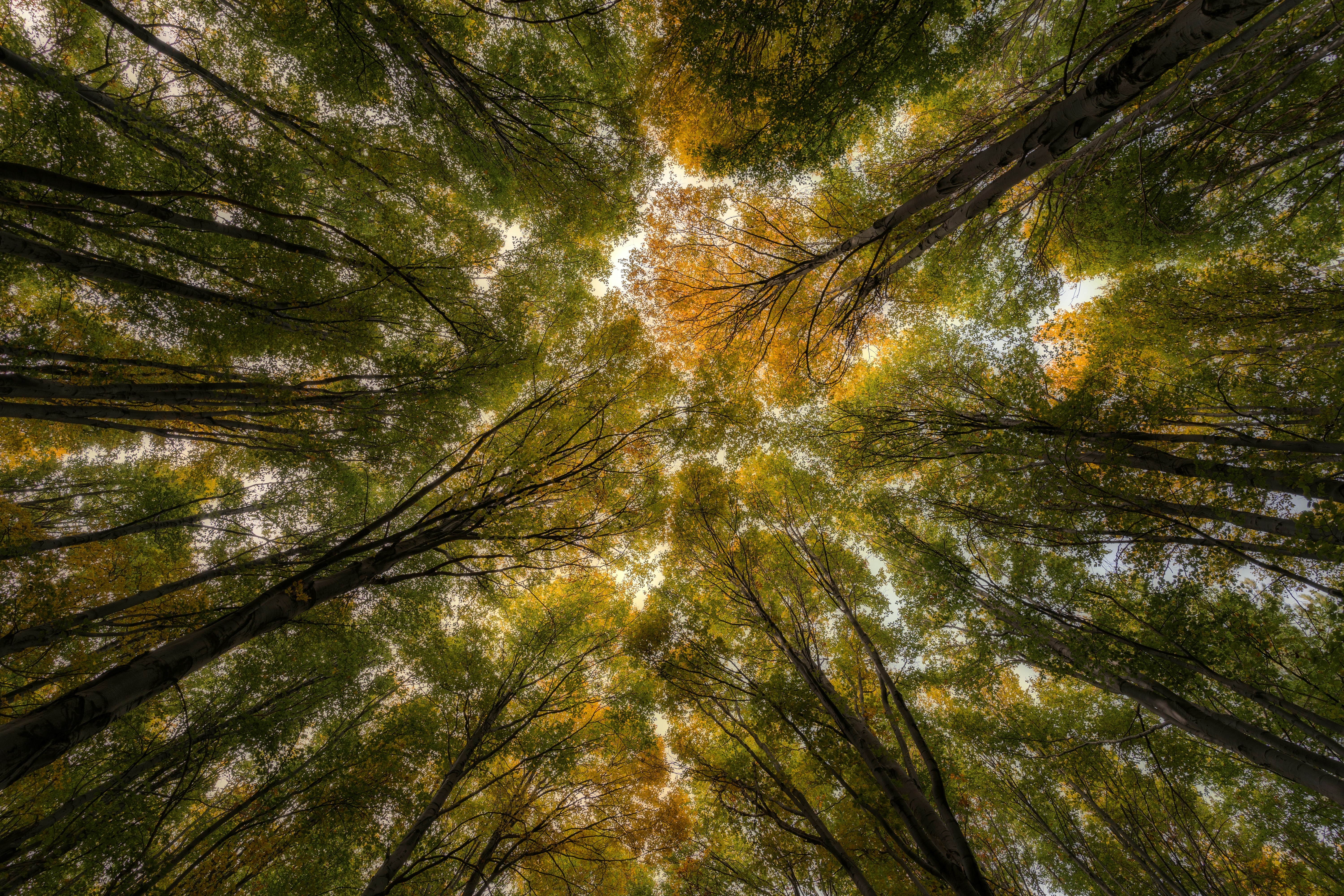 Photo by marcozzolo90