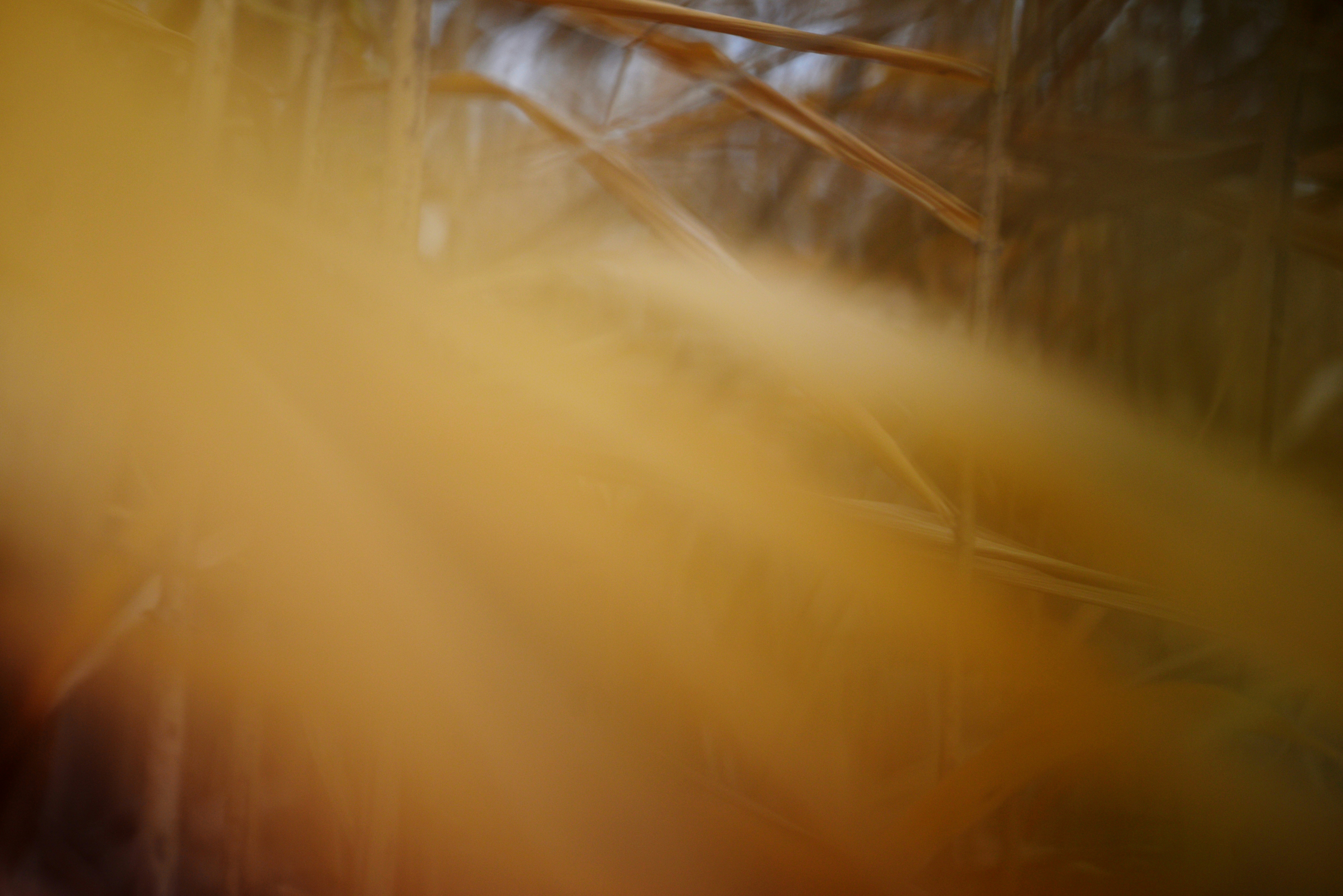 Photo by cherstve_pechivo