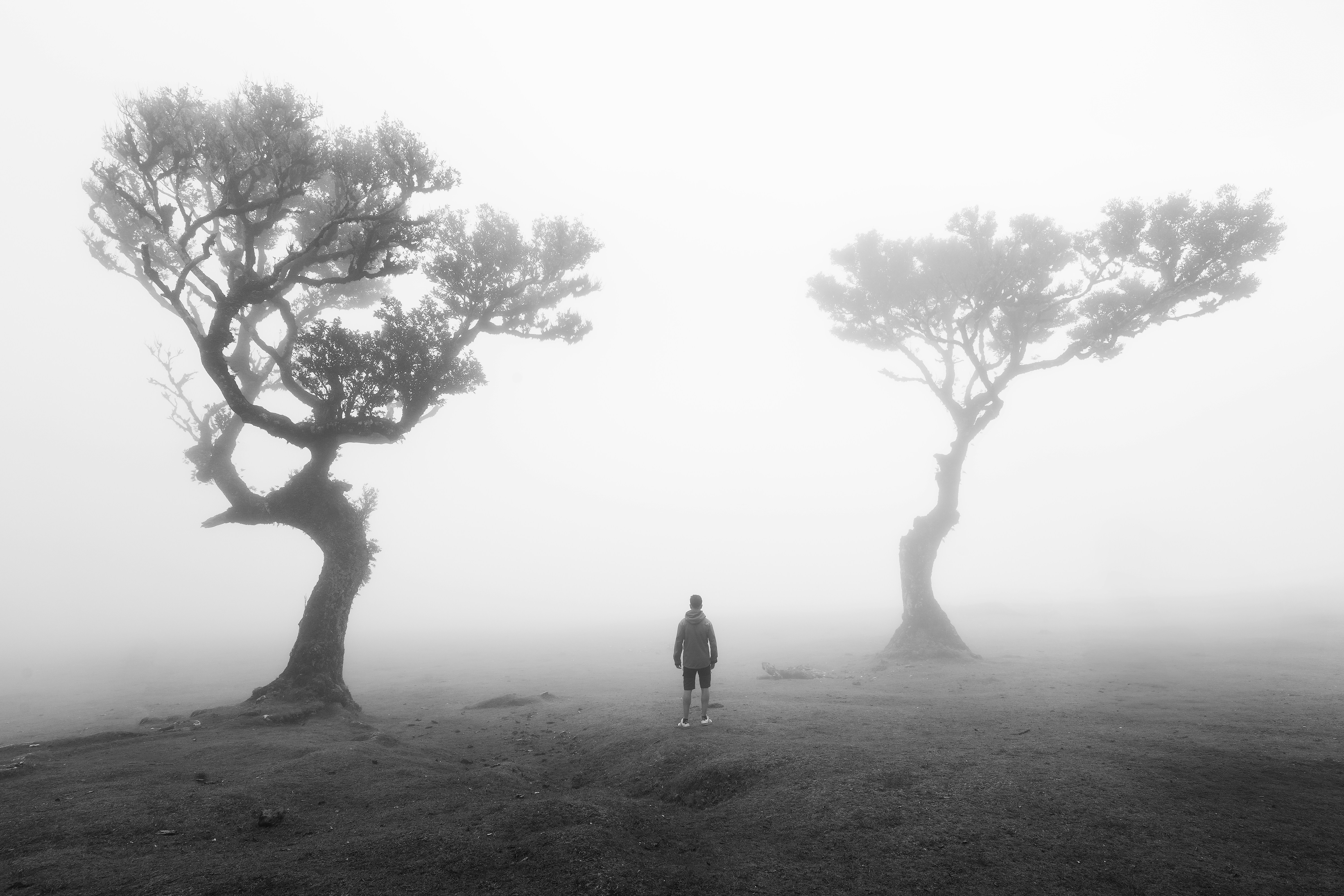 Photo by marcozzolo90