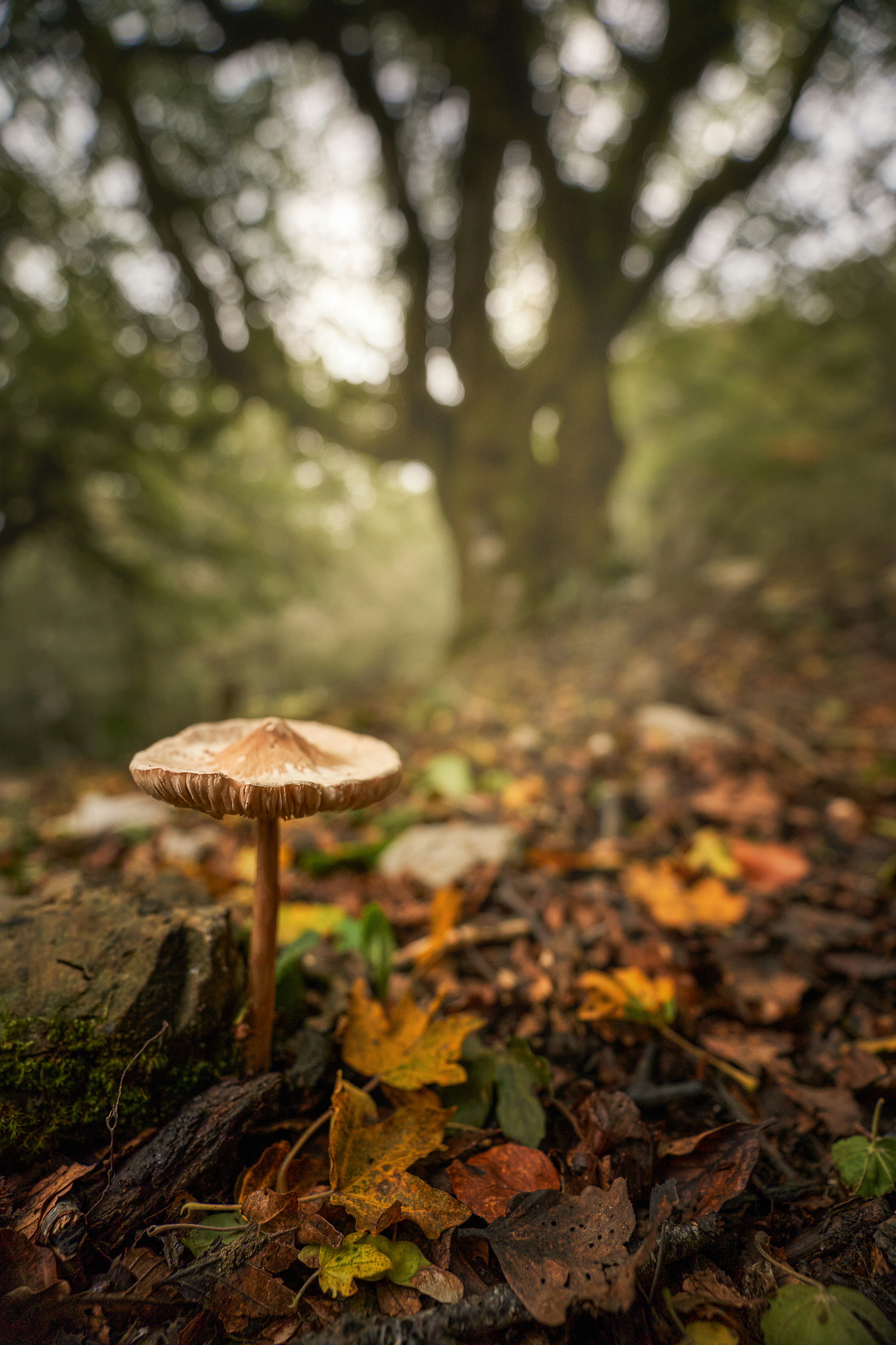 Photo by marcozzolo90