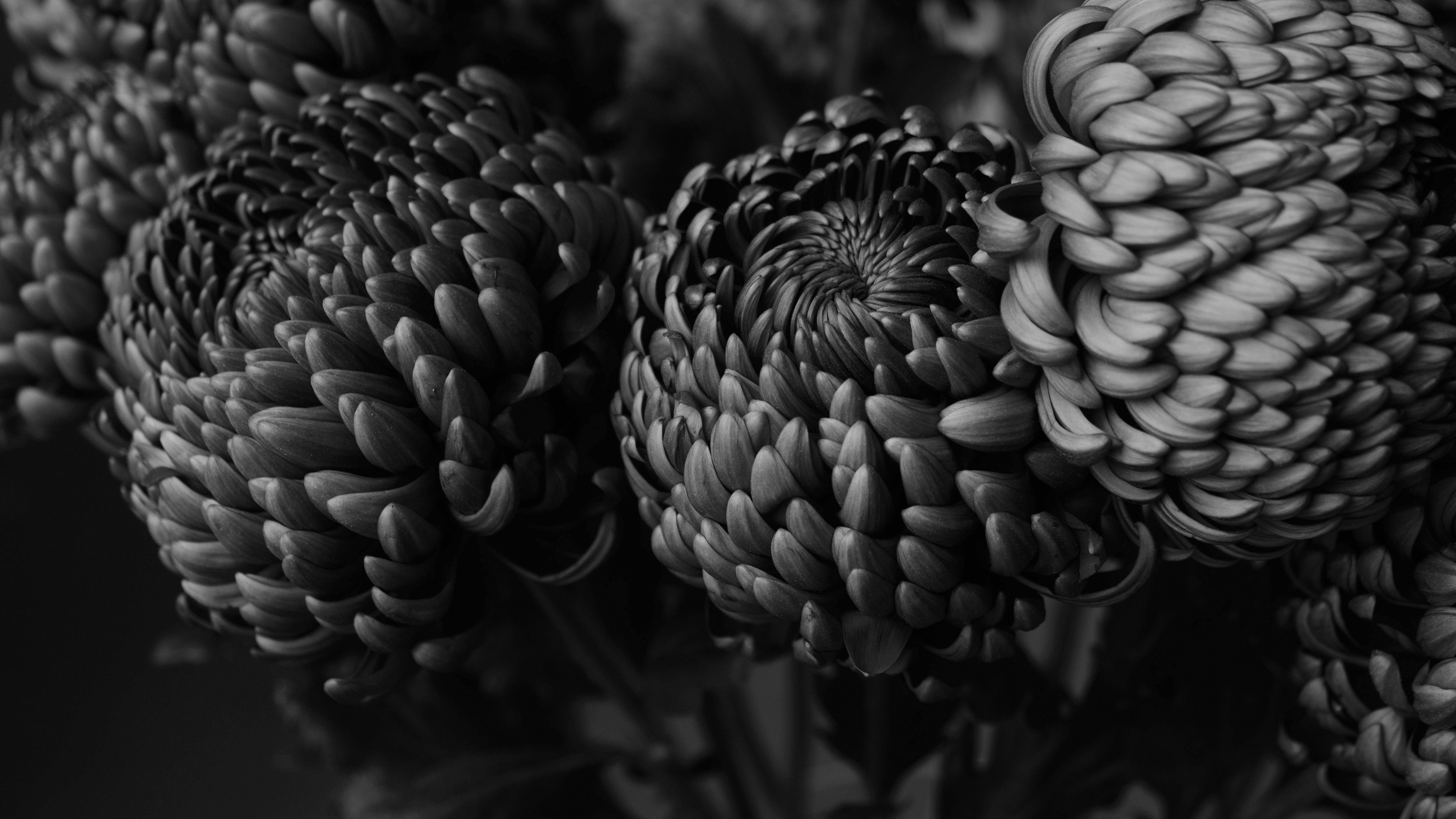 Photo by theinceptionn