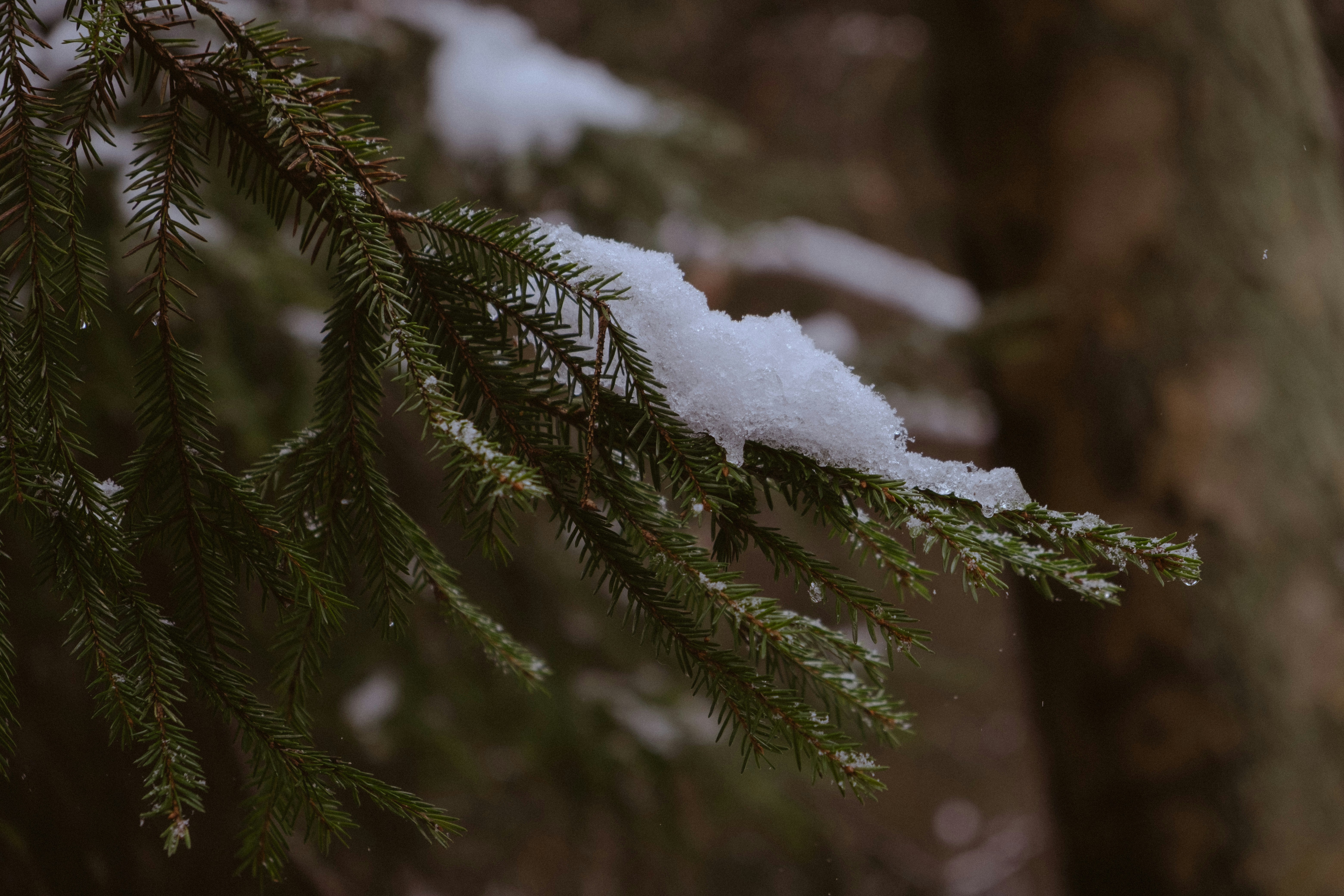 Photo by theinceptionn