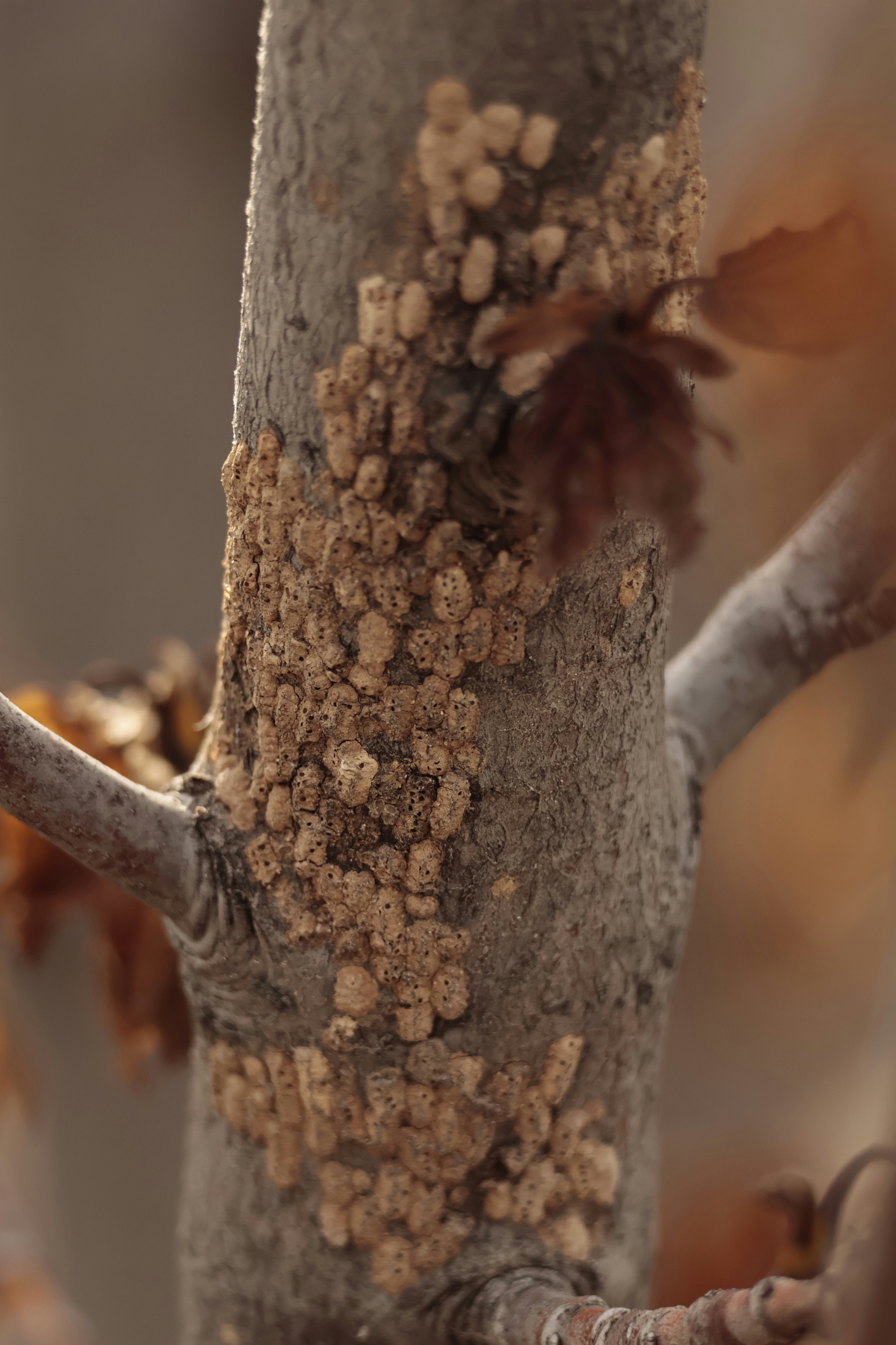 Photo by burakemrecr