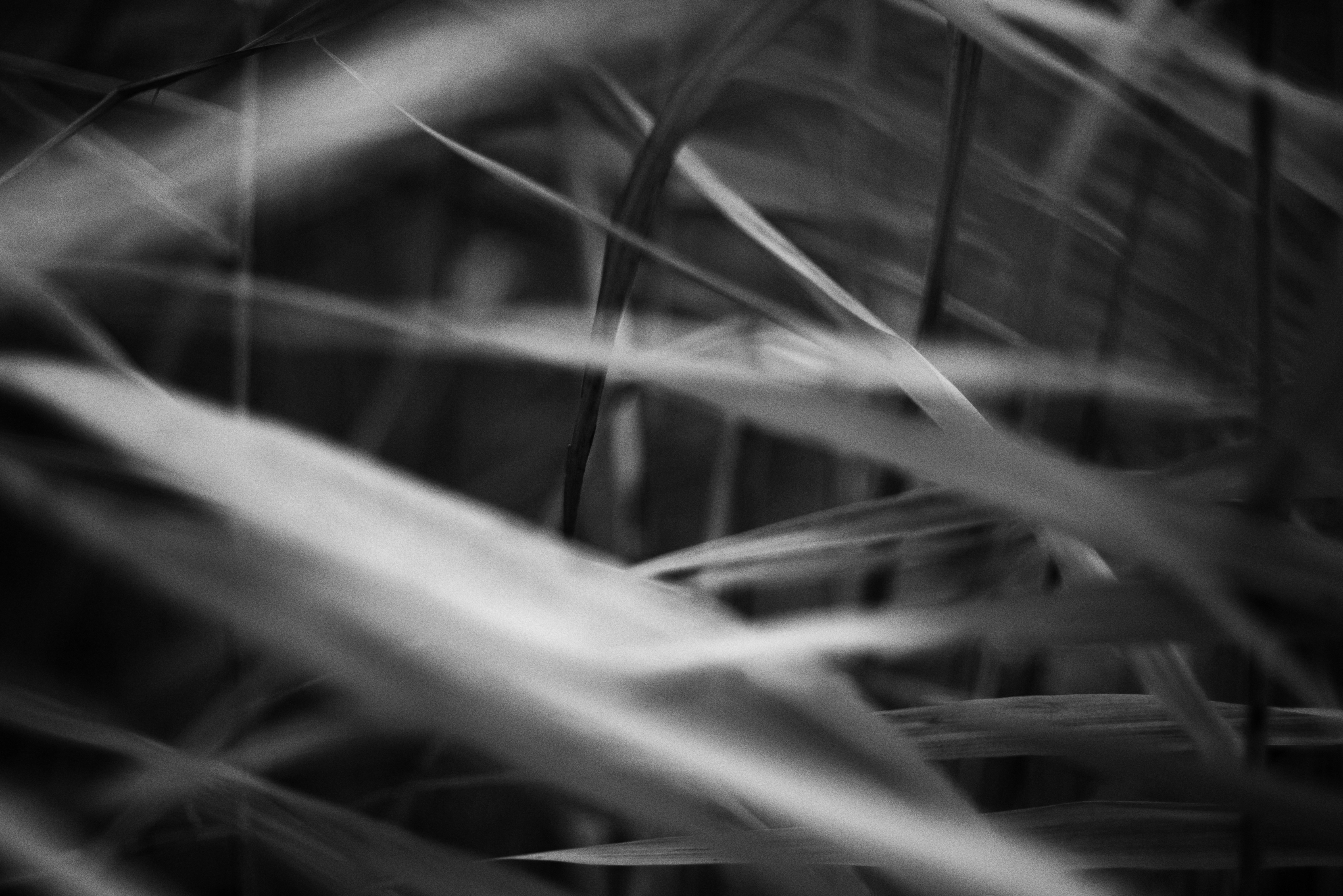 Photo by cherstve_pechivo