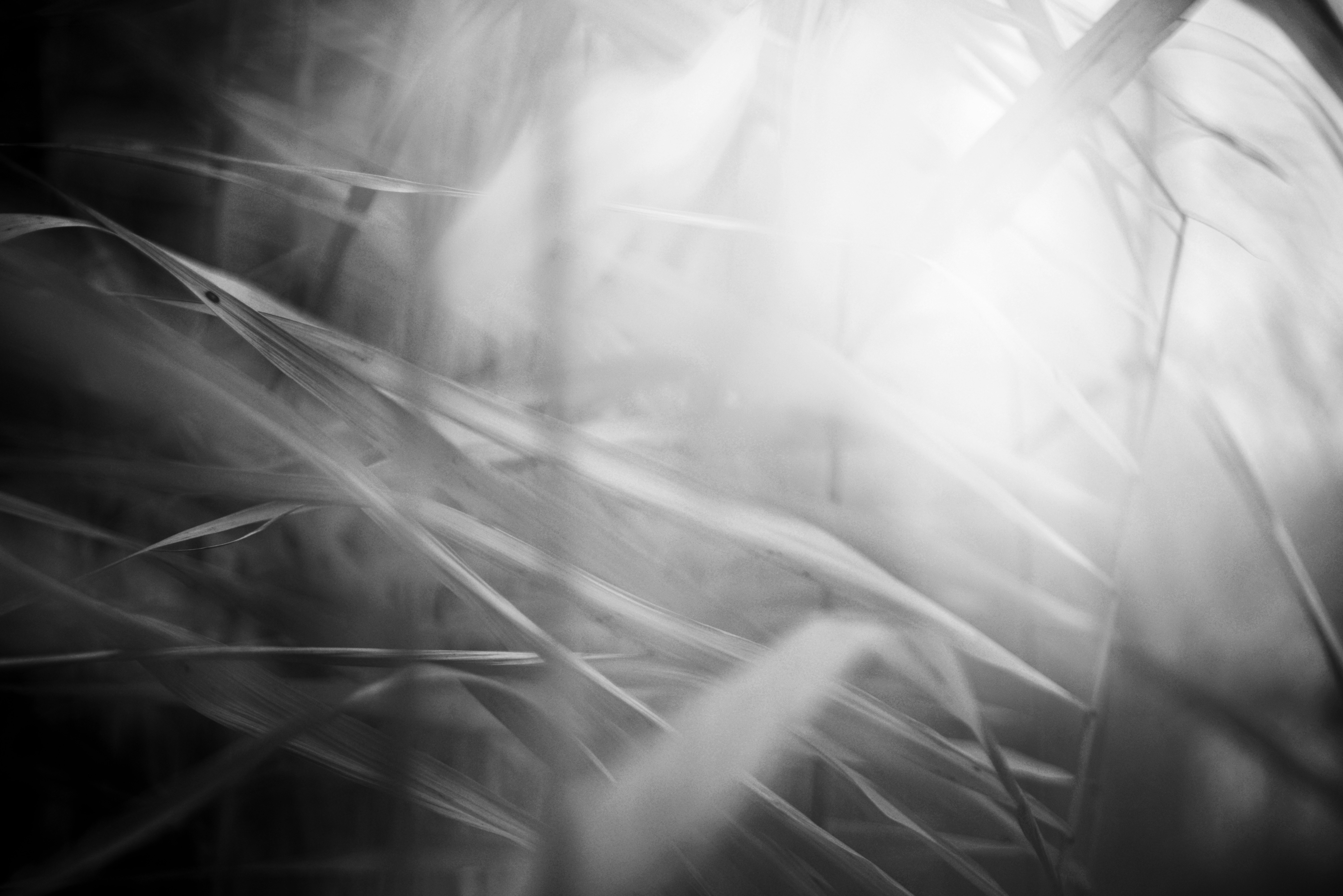 Photo by cherstve_pechivo