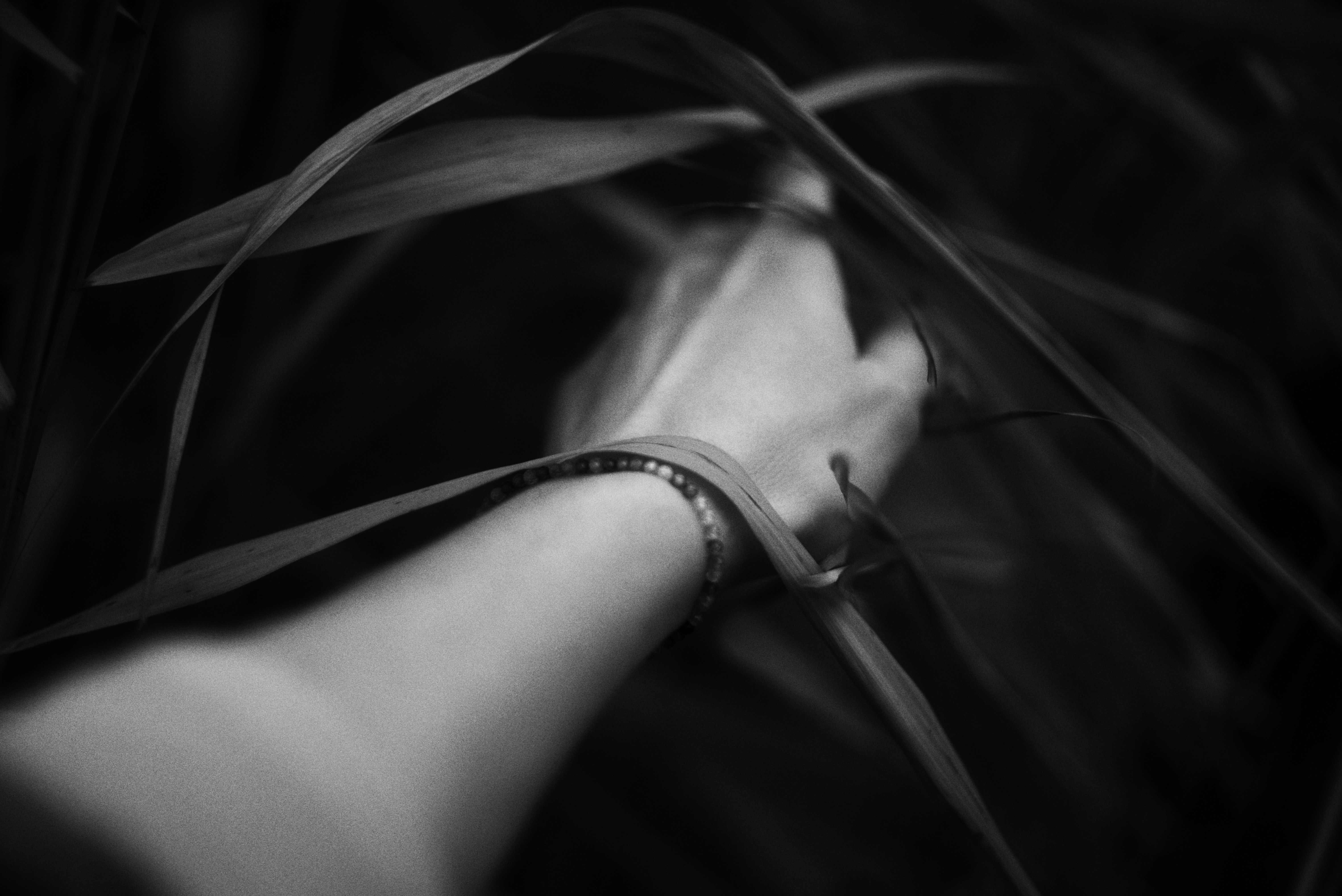 Photo by cherstve_pechivo