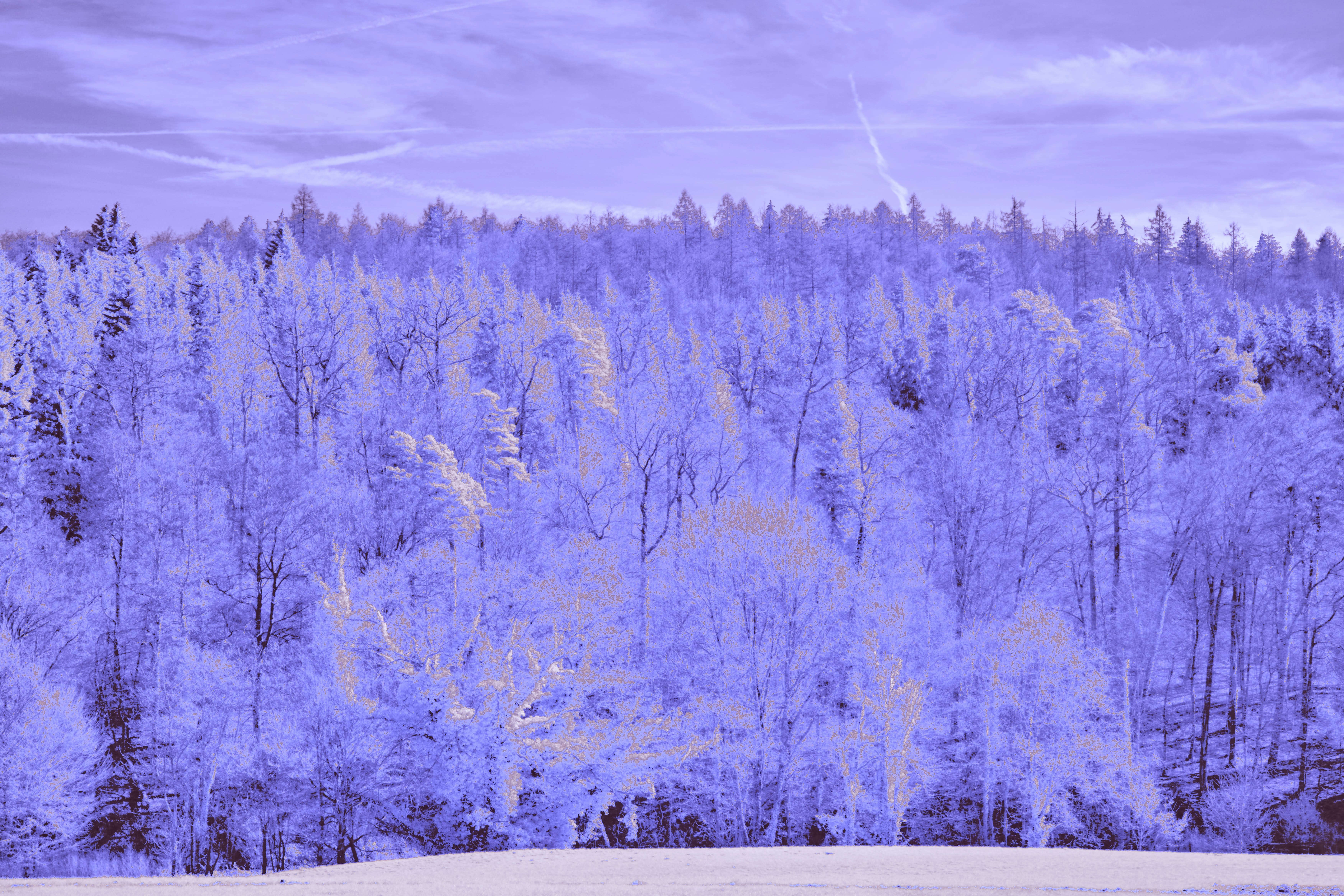 Photo by wolfgang_hasselmann