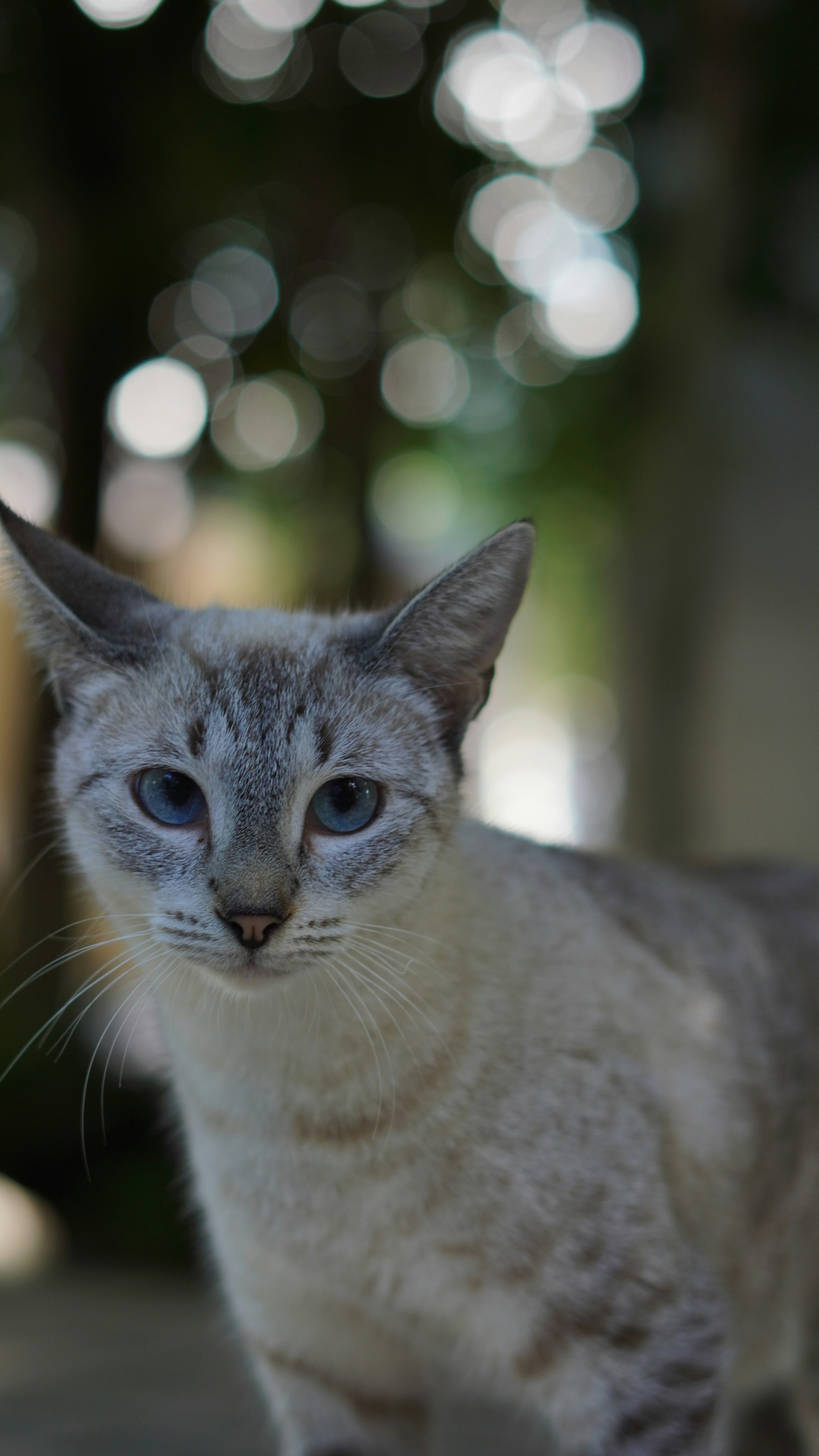 Photo by aerialshooter